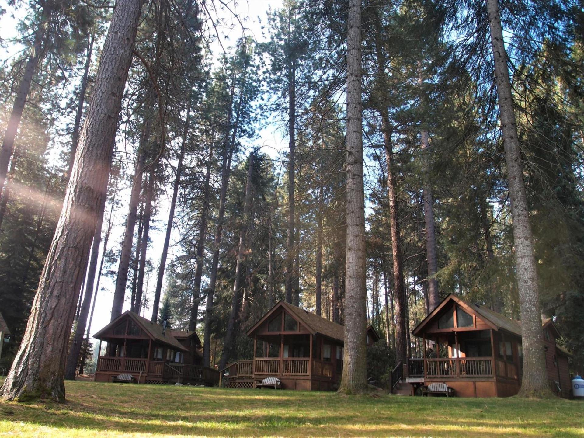 Cold Springs Resort photo 30