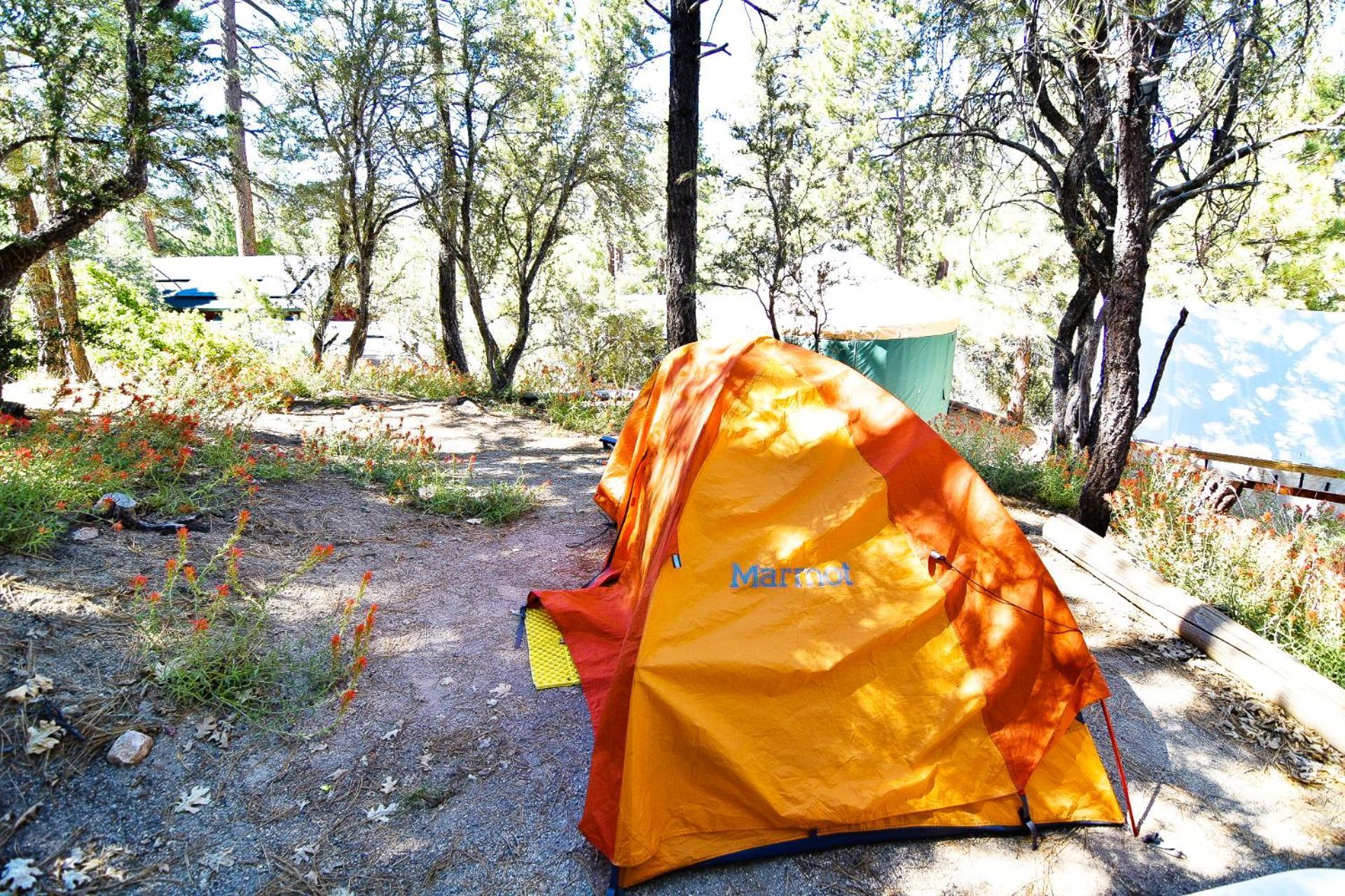 ITH Big Bear Lake Hostel & Lodge photo 52
