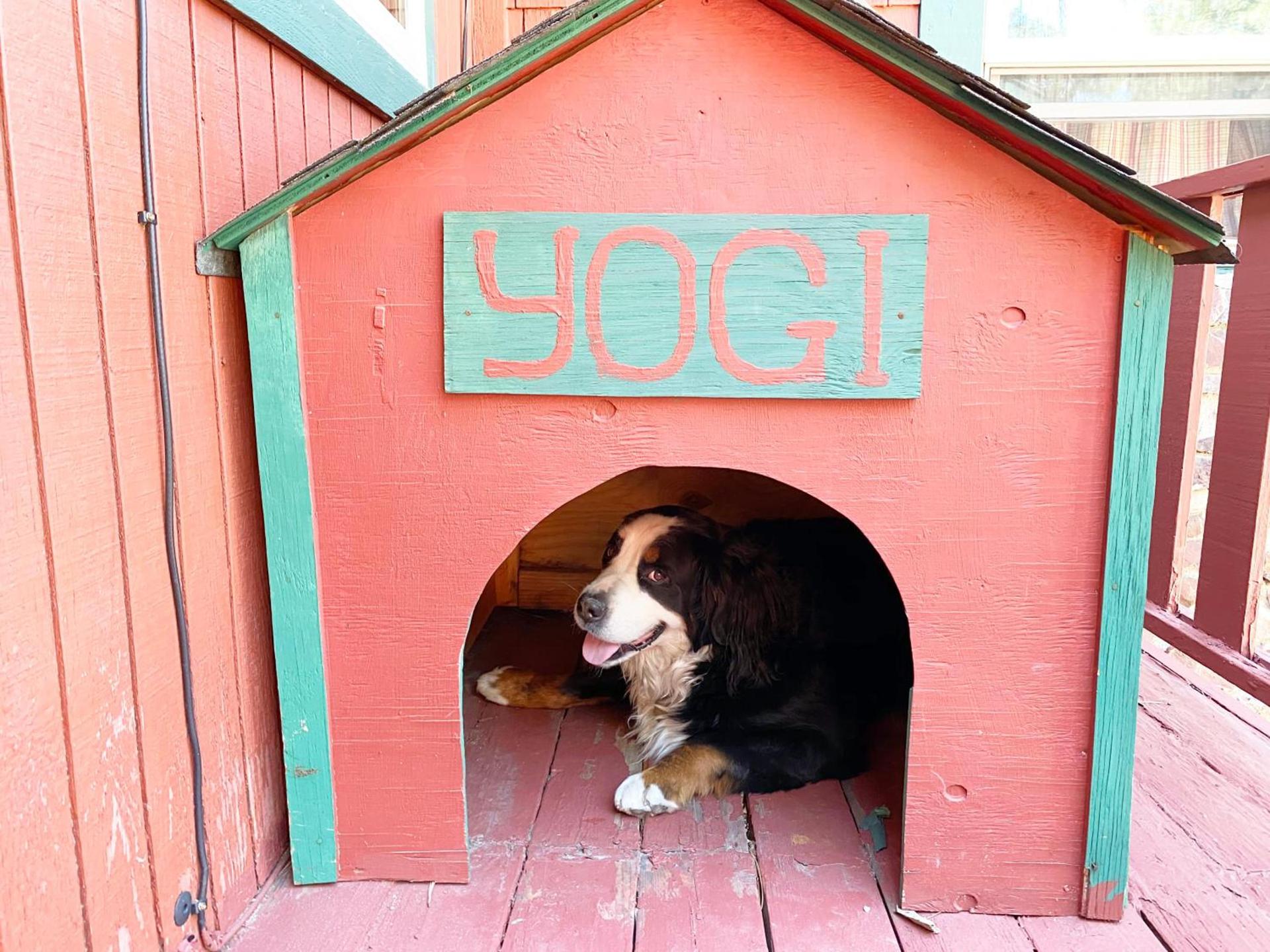 ITH Big Bear Lake Hostel & Lodge photo 32
