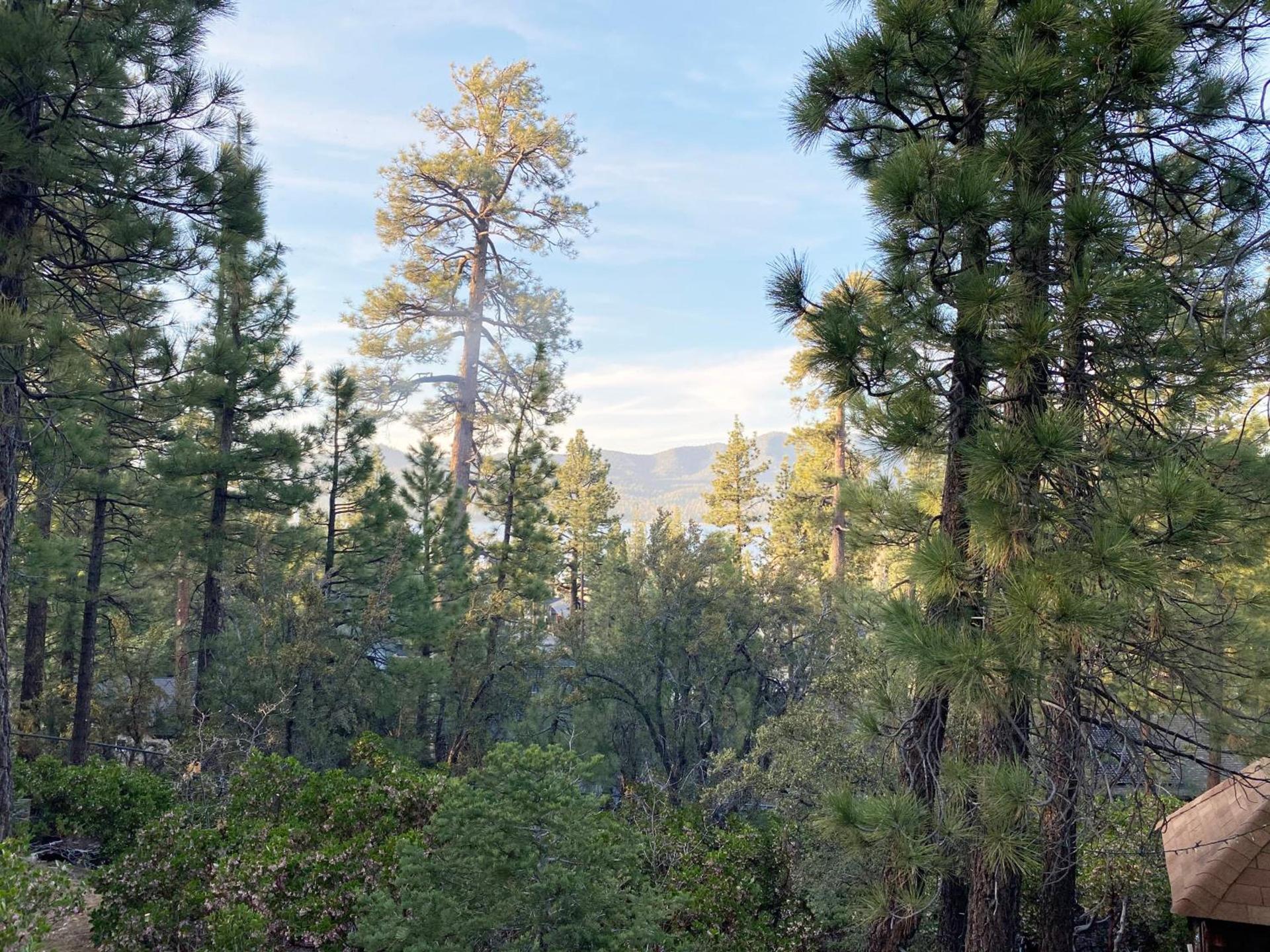 ITH Big Bear Lake Hostel & Lodge photo 54