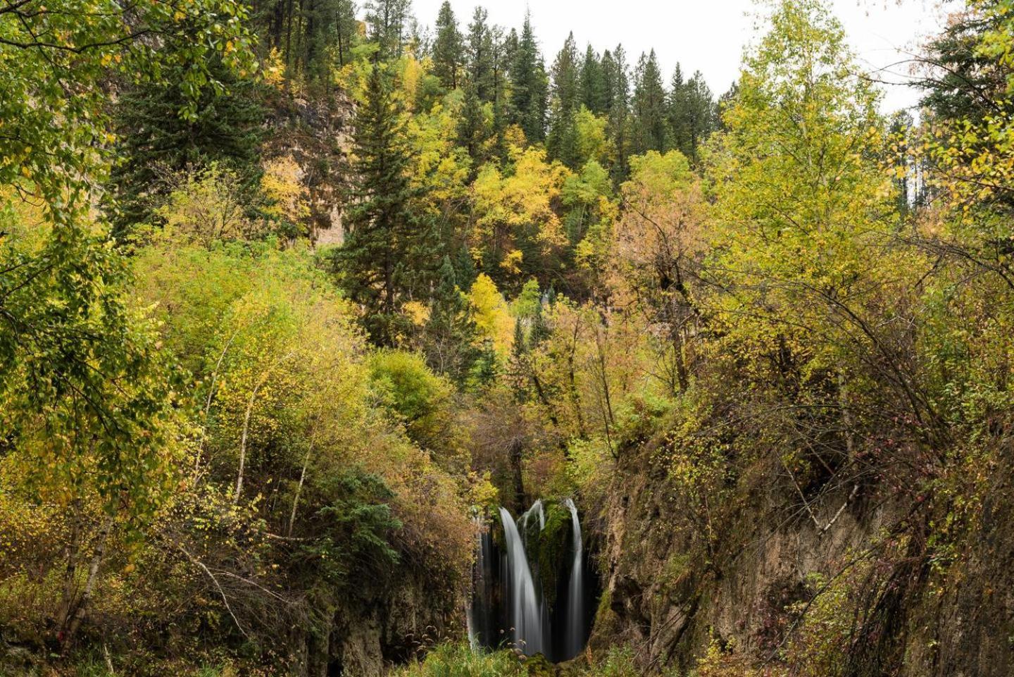 Spearfish Canyon Lodge photo 21