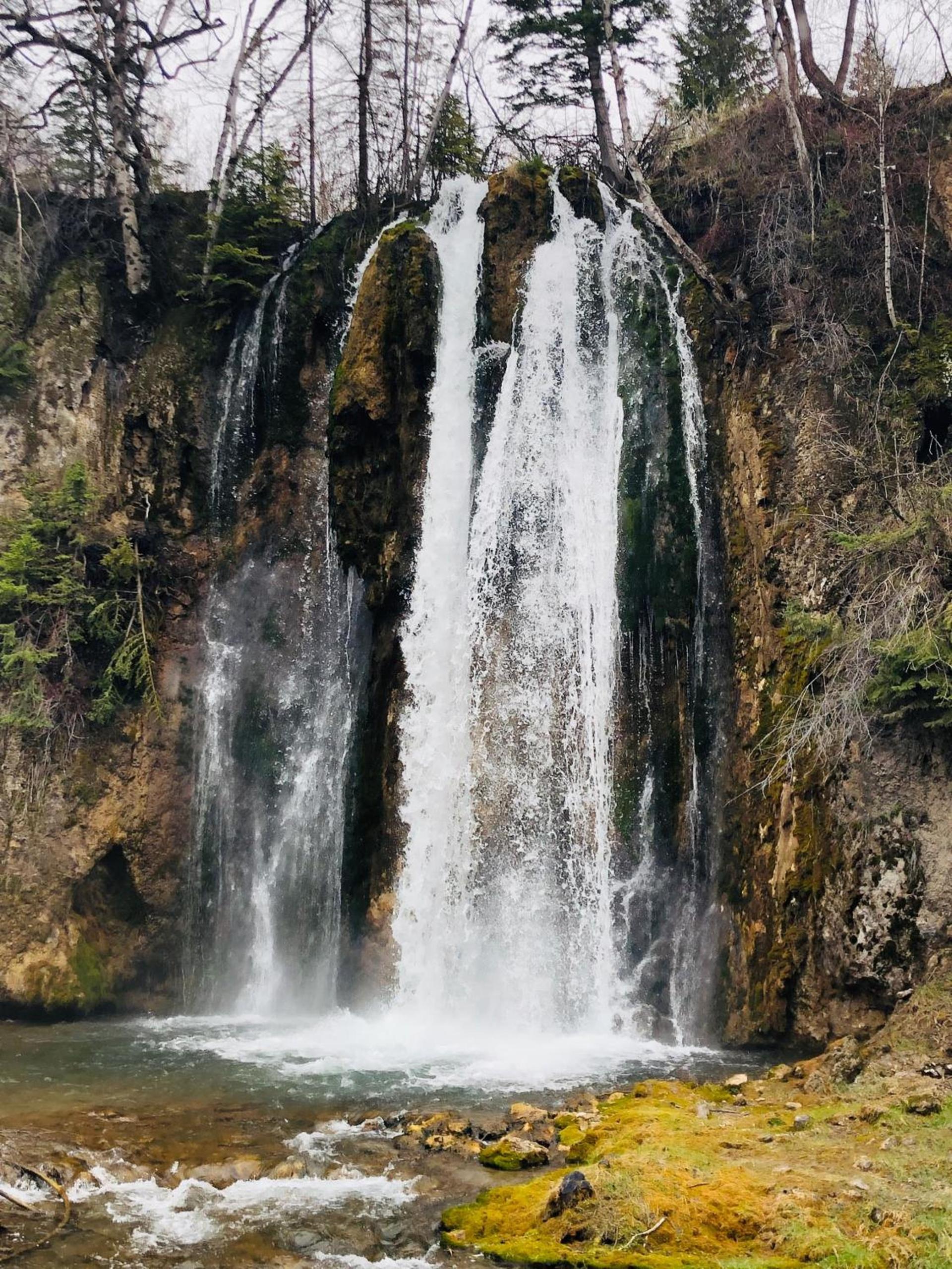 Spearfish Canyon Lodge photo 13