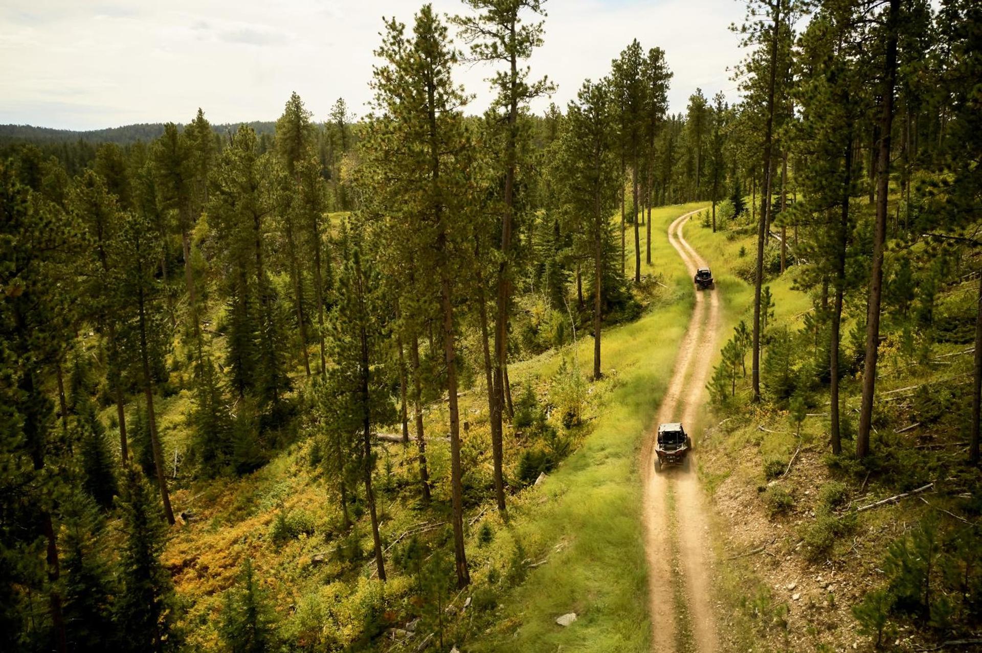 Spearfish Canyon Lodge photo 16
