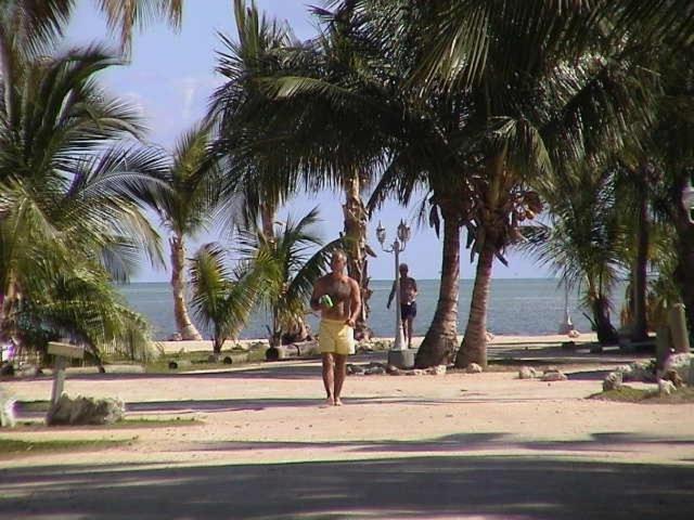 Coconut Cove Resort & Marina photo 12