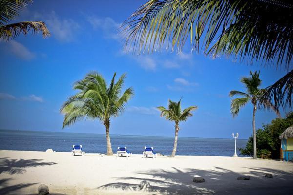 Coconut Cove Resort & Marina photo 8