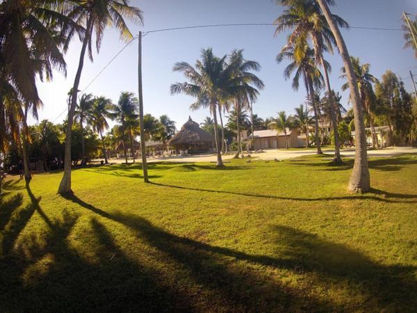 Coconut Cove Resort & Marina photo 11