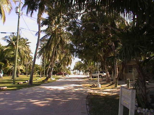 Coconut Cove Resort & Marina photo 16