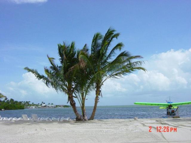 Coconut Cove Resort & Marina photo 5