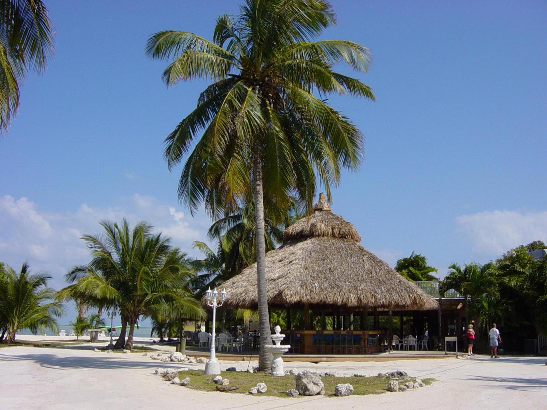 Coconut Cove Resort & Marina photo 7