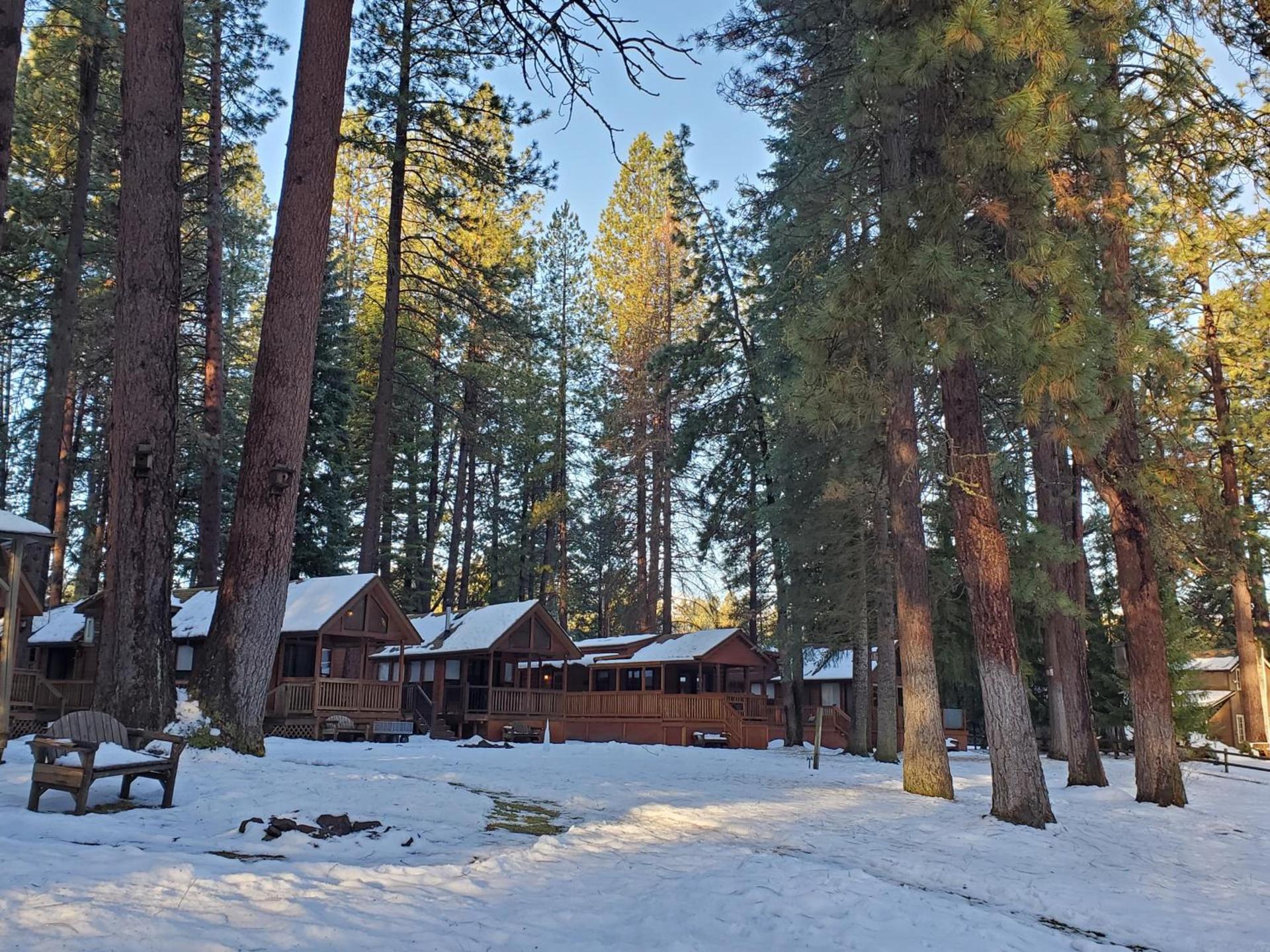 Cold Springs Resort photo 28