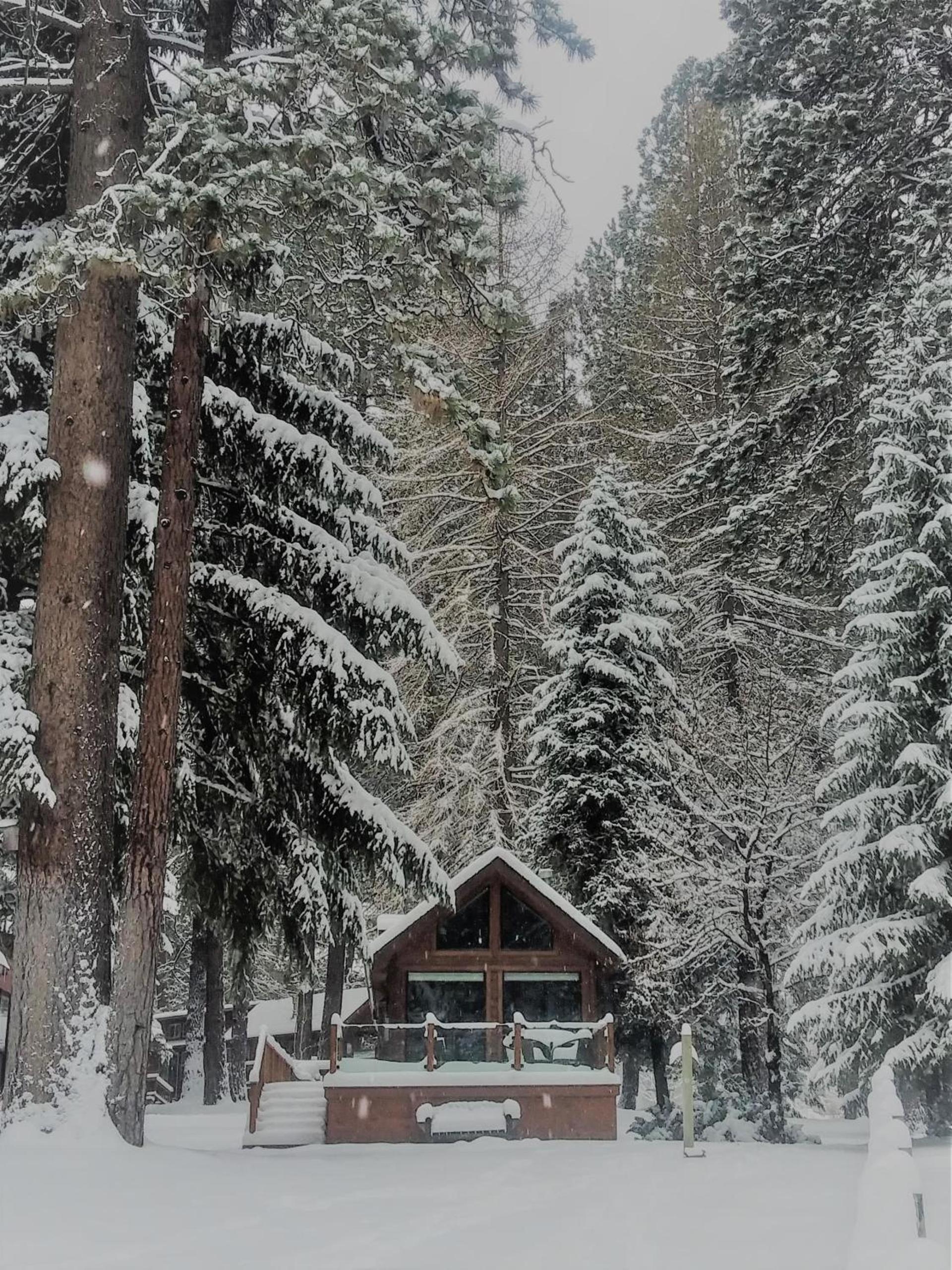 Cold Springs Resort photo 29