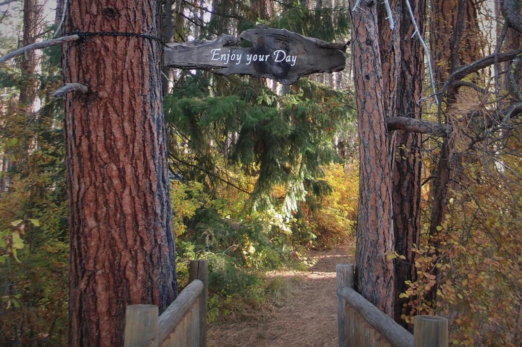 Cold Springs Resort photo 27