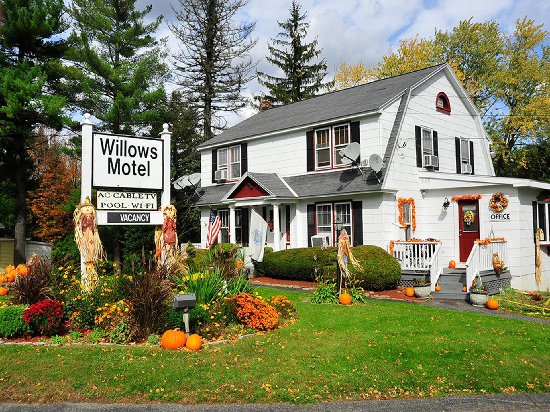 Willows Motel photo 18