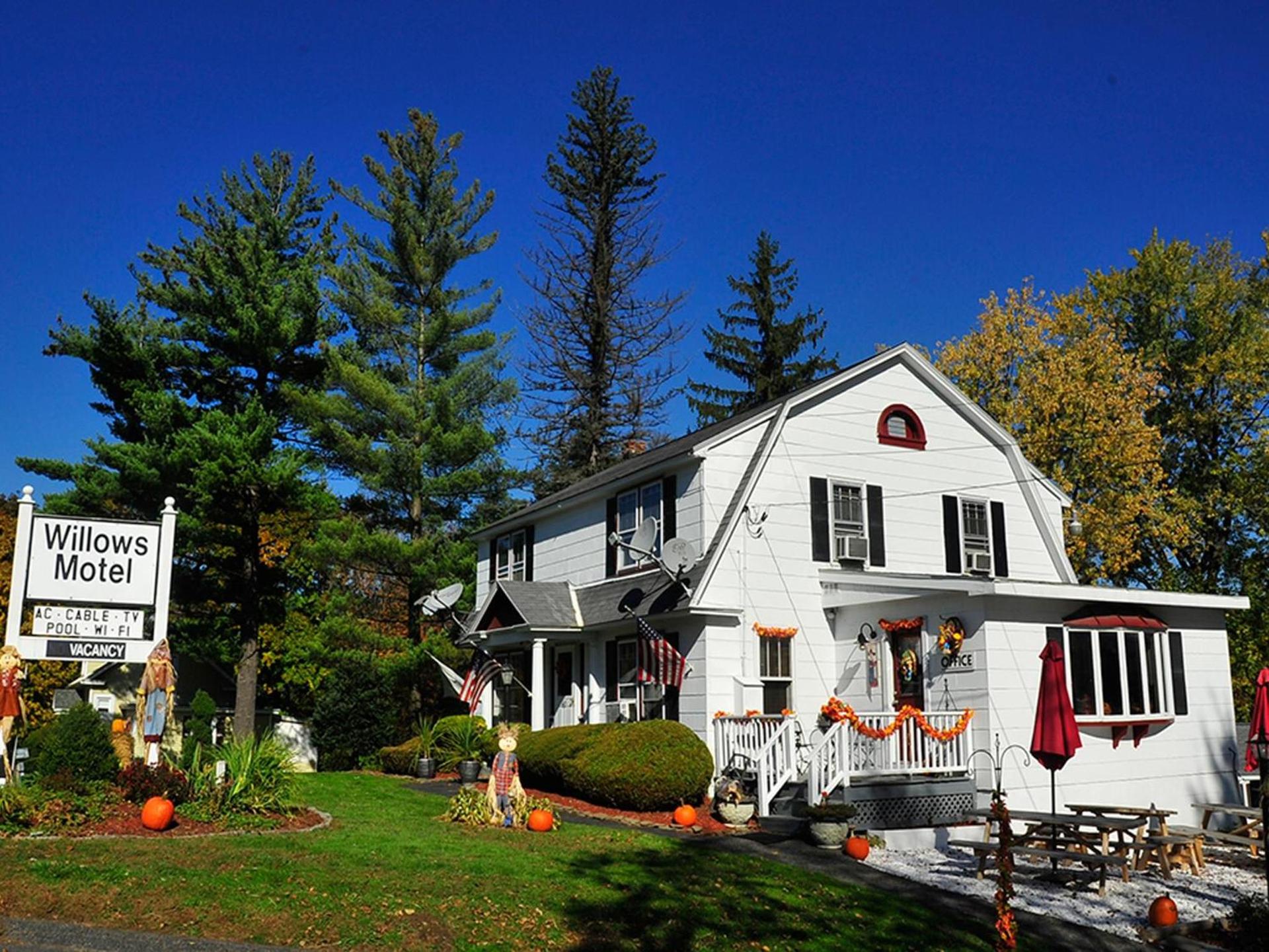 Willows Motel photo 16