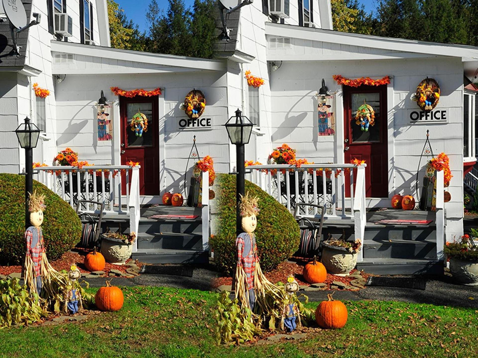 Willows Motel photo 9