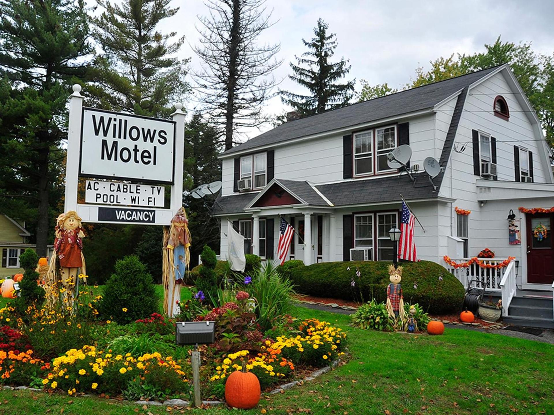 Willows Motel photo 8