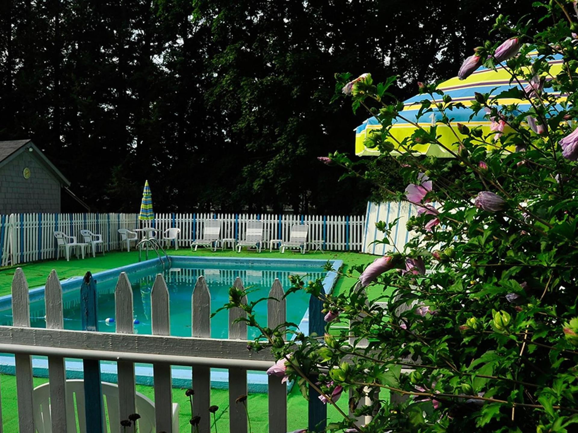 Willows Motel photo 3