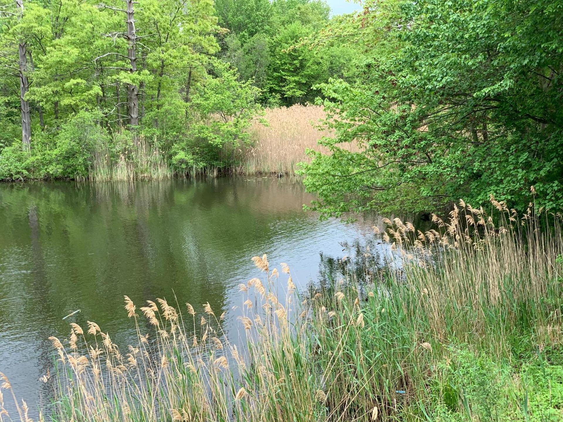 Super 8 by Wyndham Sturbridge photo 33