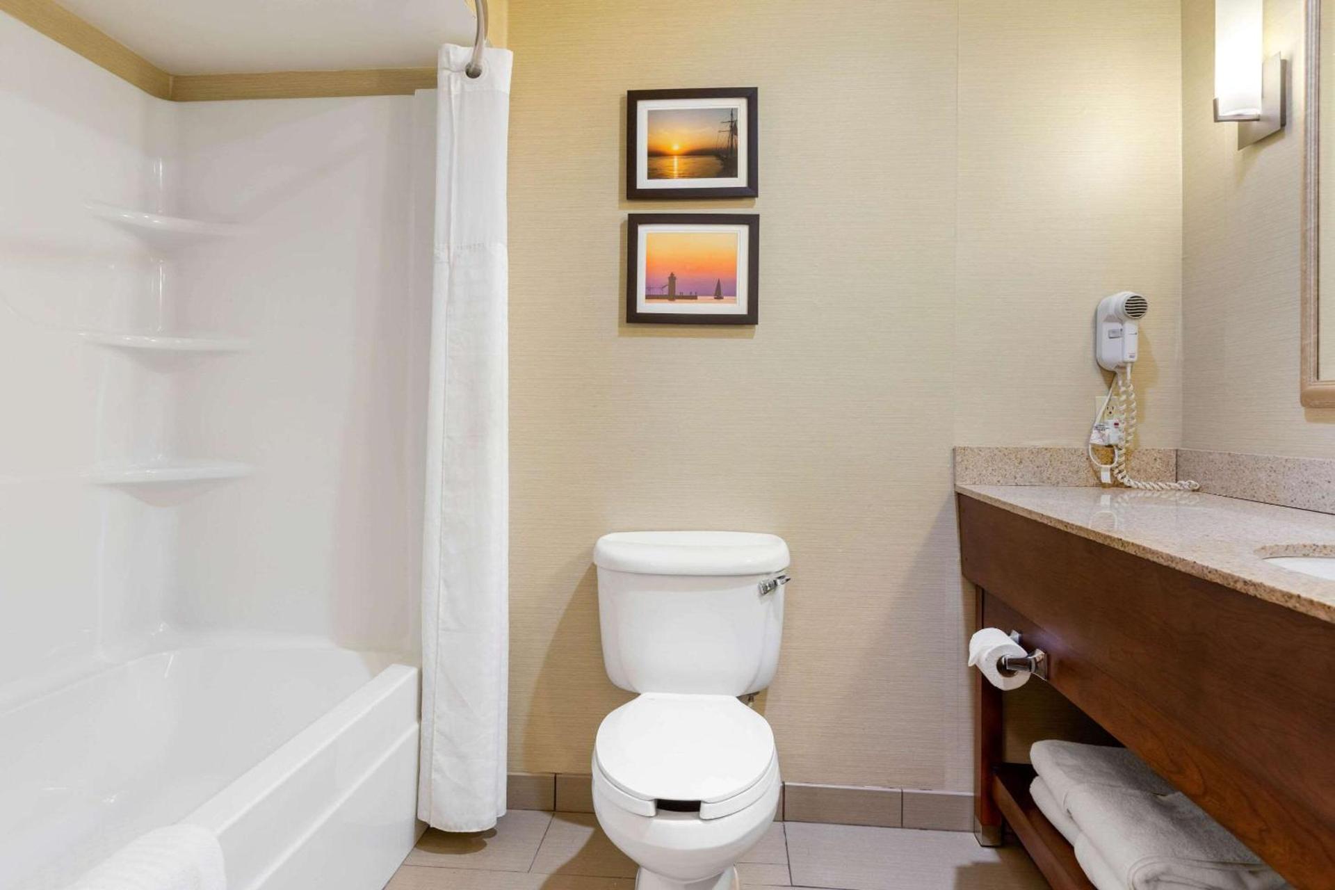 Comfort Suites South Haven near I-96 photo 7