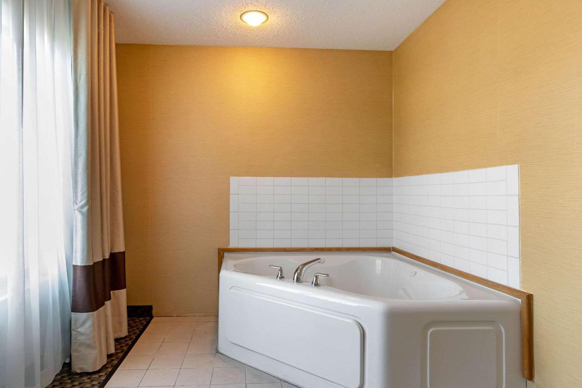 Comfort Suites South Haven near I-96 photo 11
