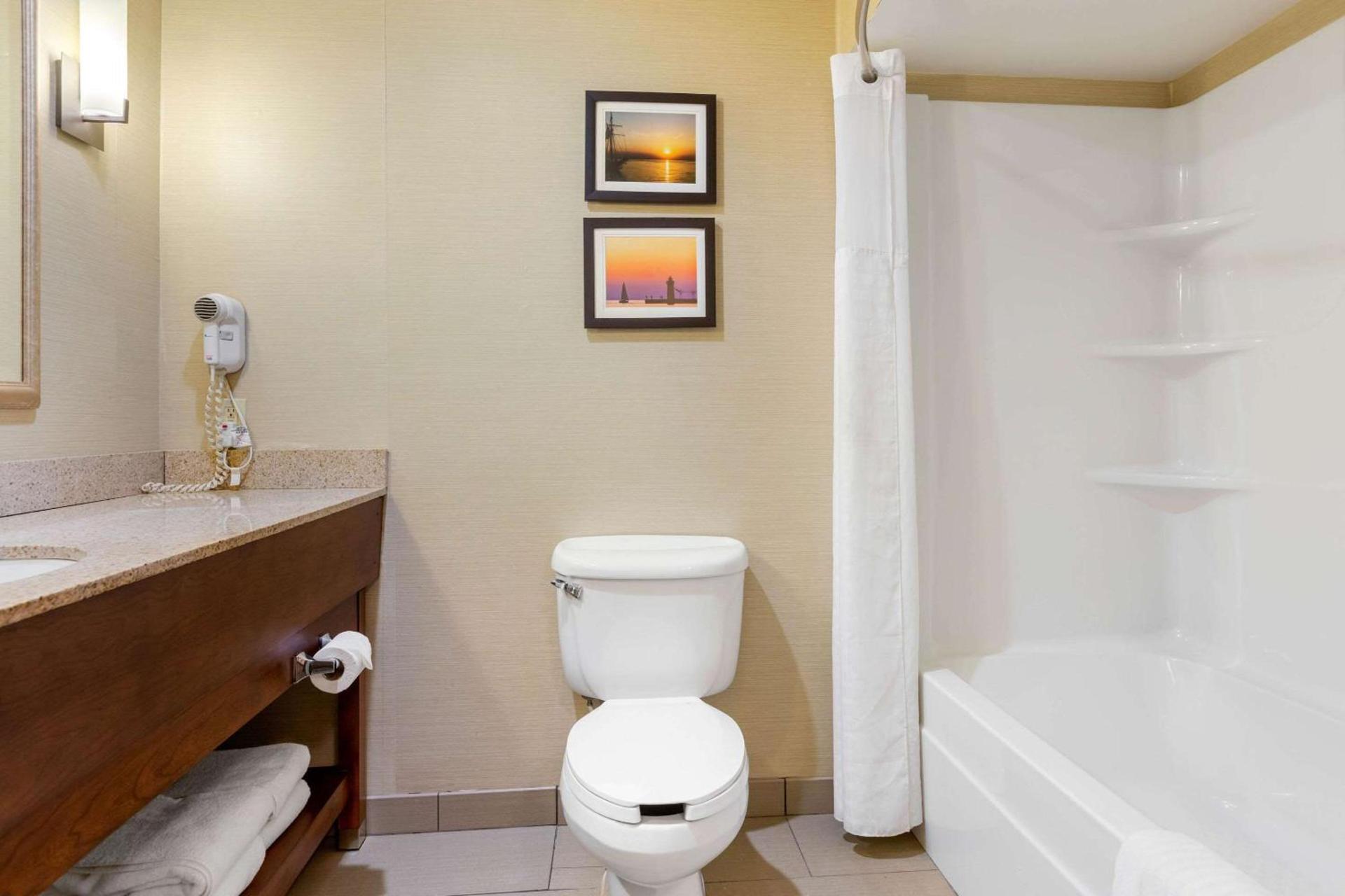Comfort Suites South Haven near I-96 photo 14