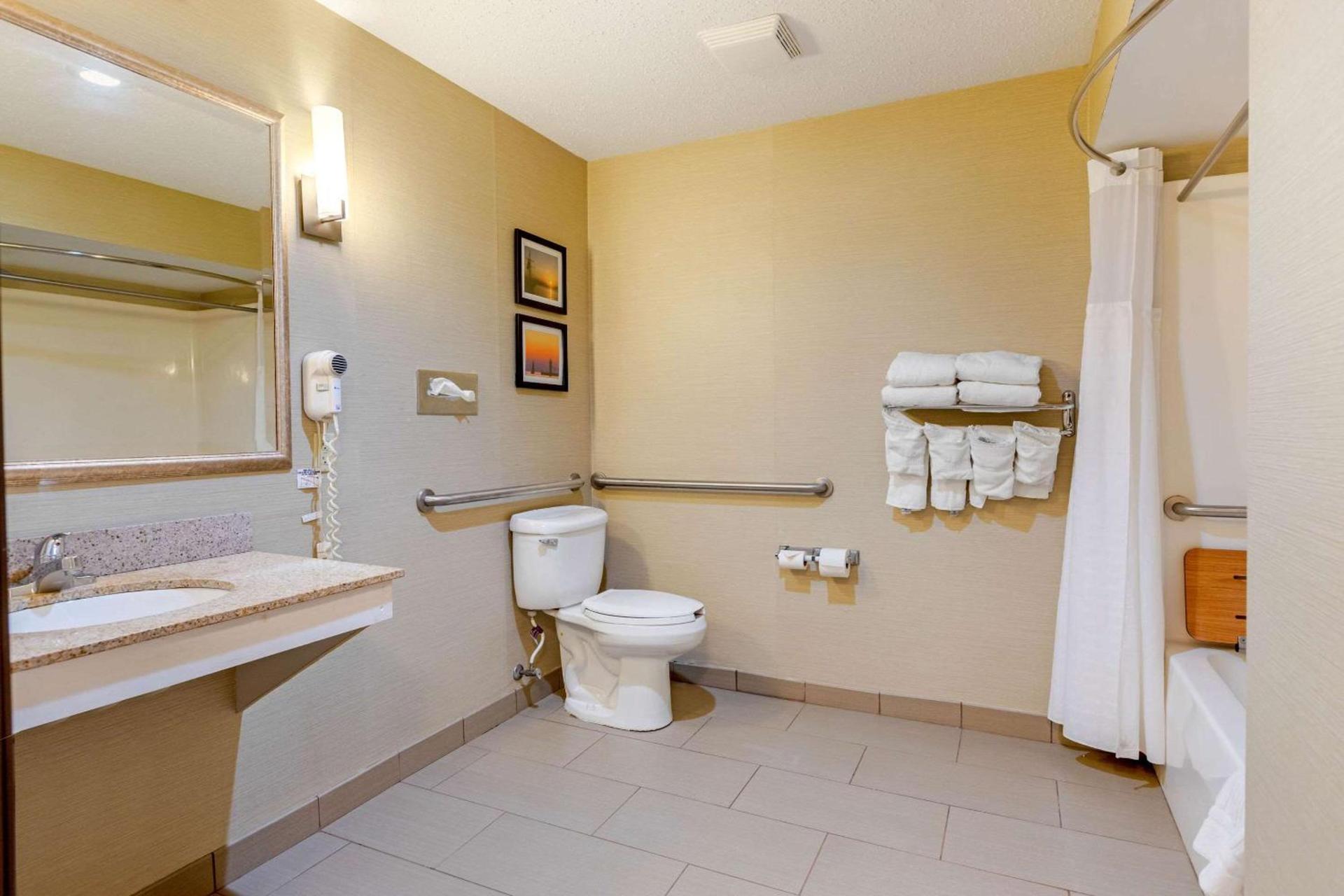 Comfort Suites South Haven near I-96 photo 18