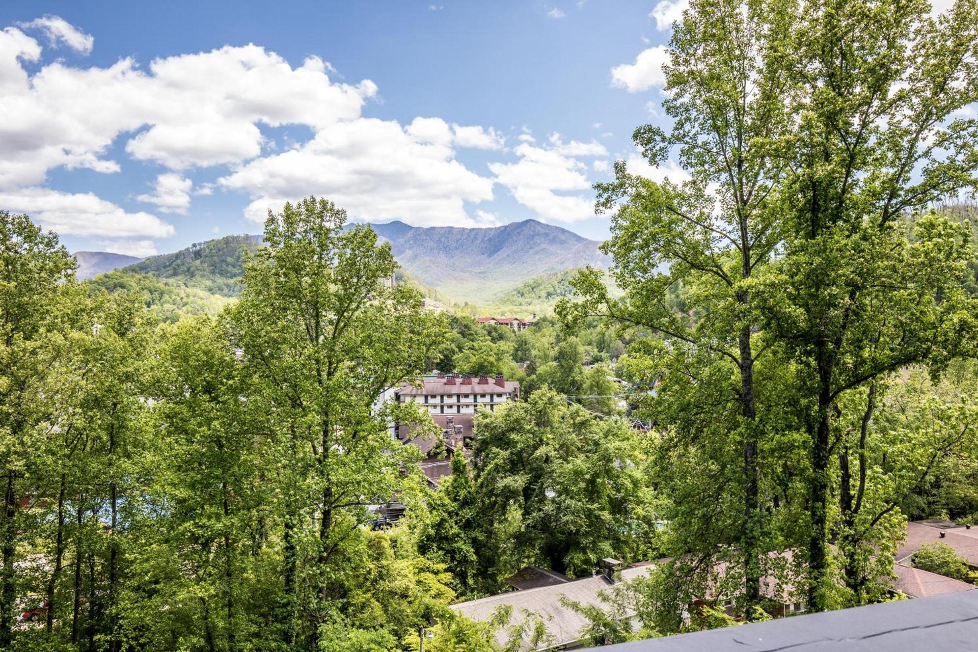 Fabulous Chalet Inn photo 15