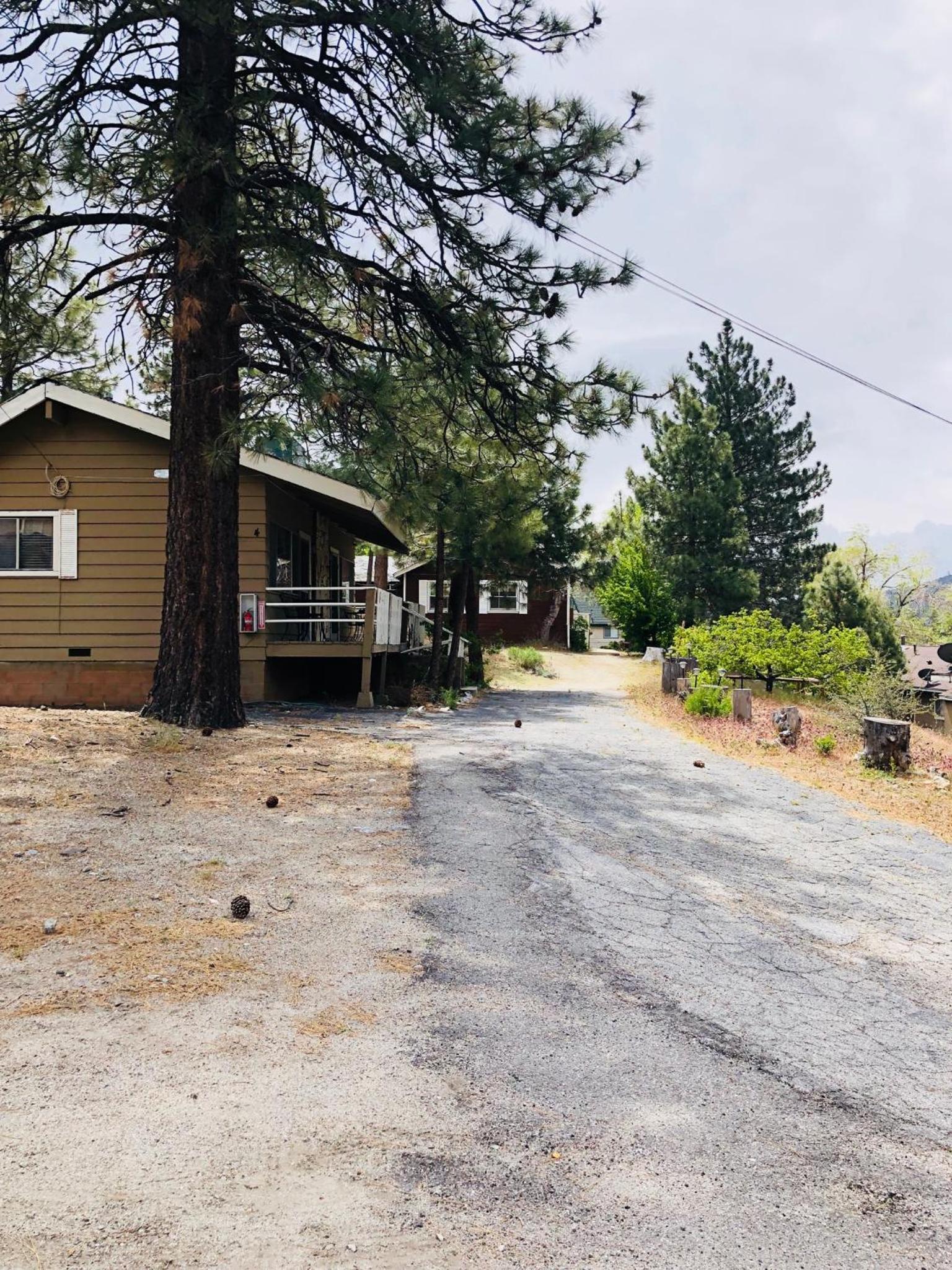 Mountain View Cabins photo 5