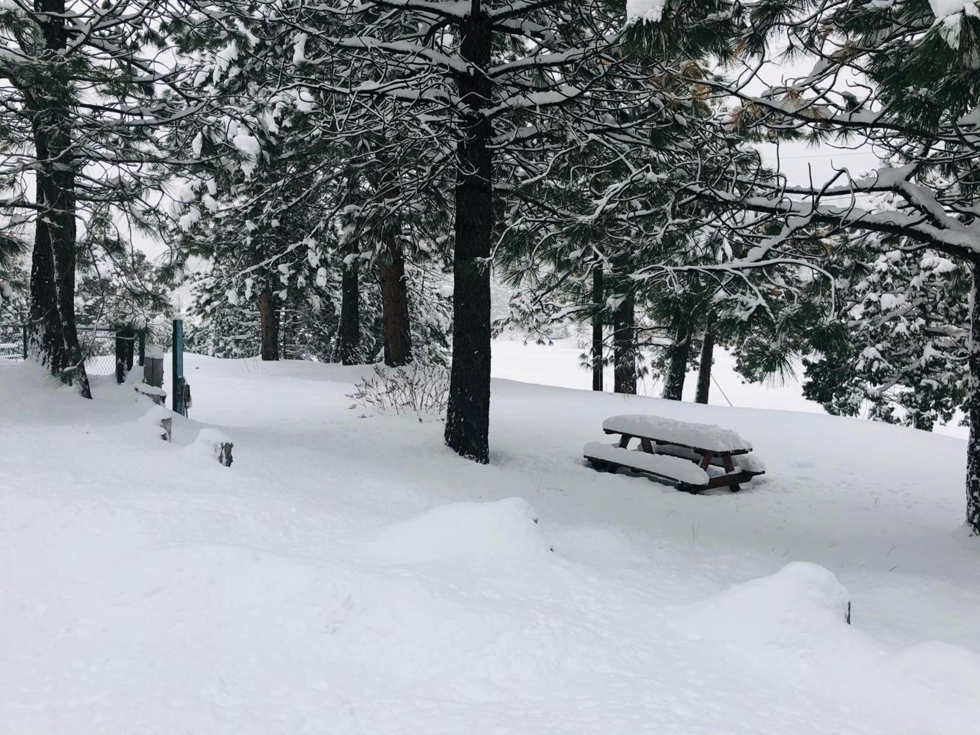 Mountain View Cabins photo 55