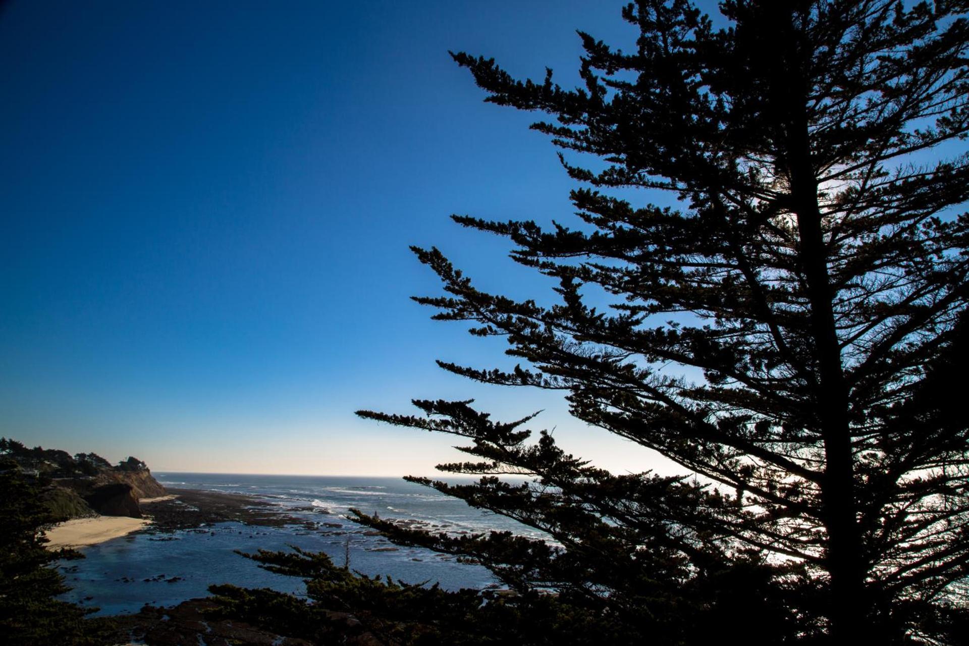 Seal Cove Inn photo 24