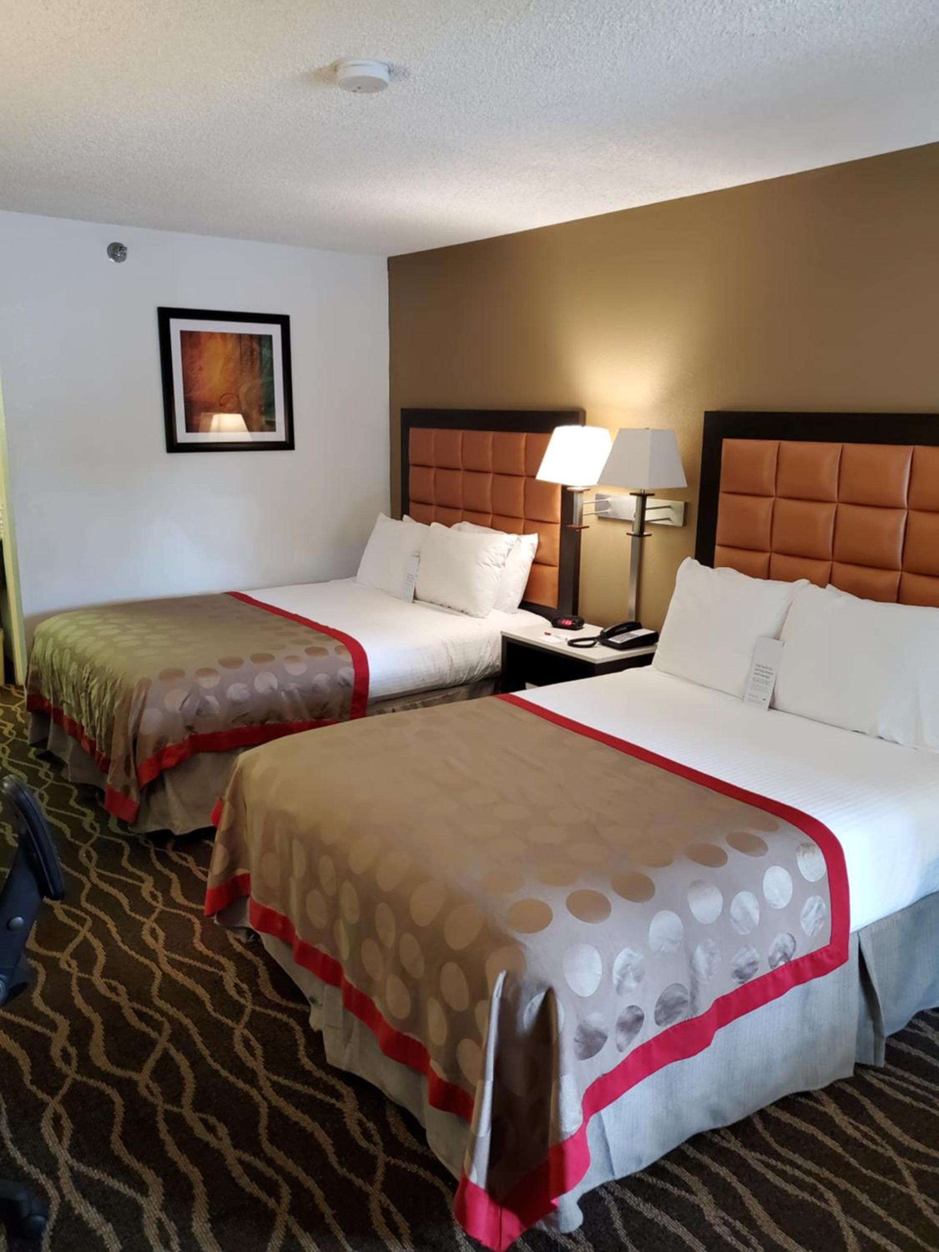 Ramada by Wyndham Temple Terrace/Tampa North photo 66