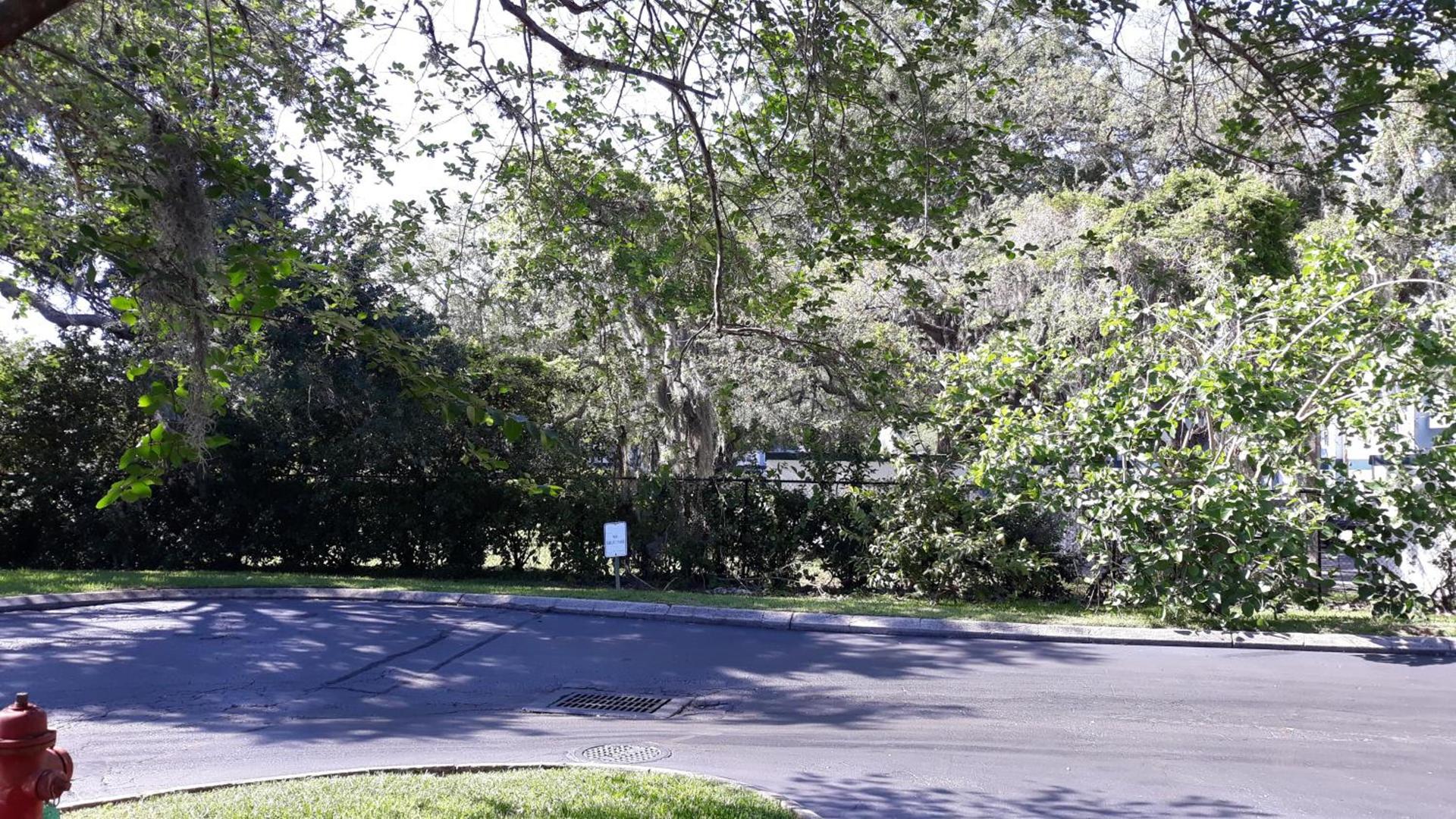 Ramada by Wyndham Temple Terrace/Tampa North photo 11