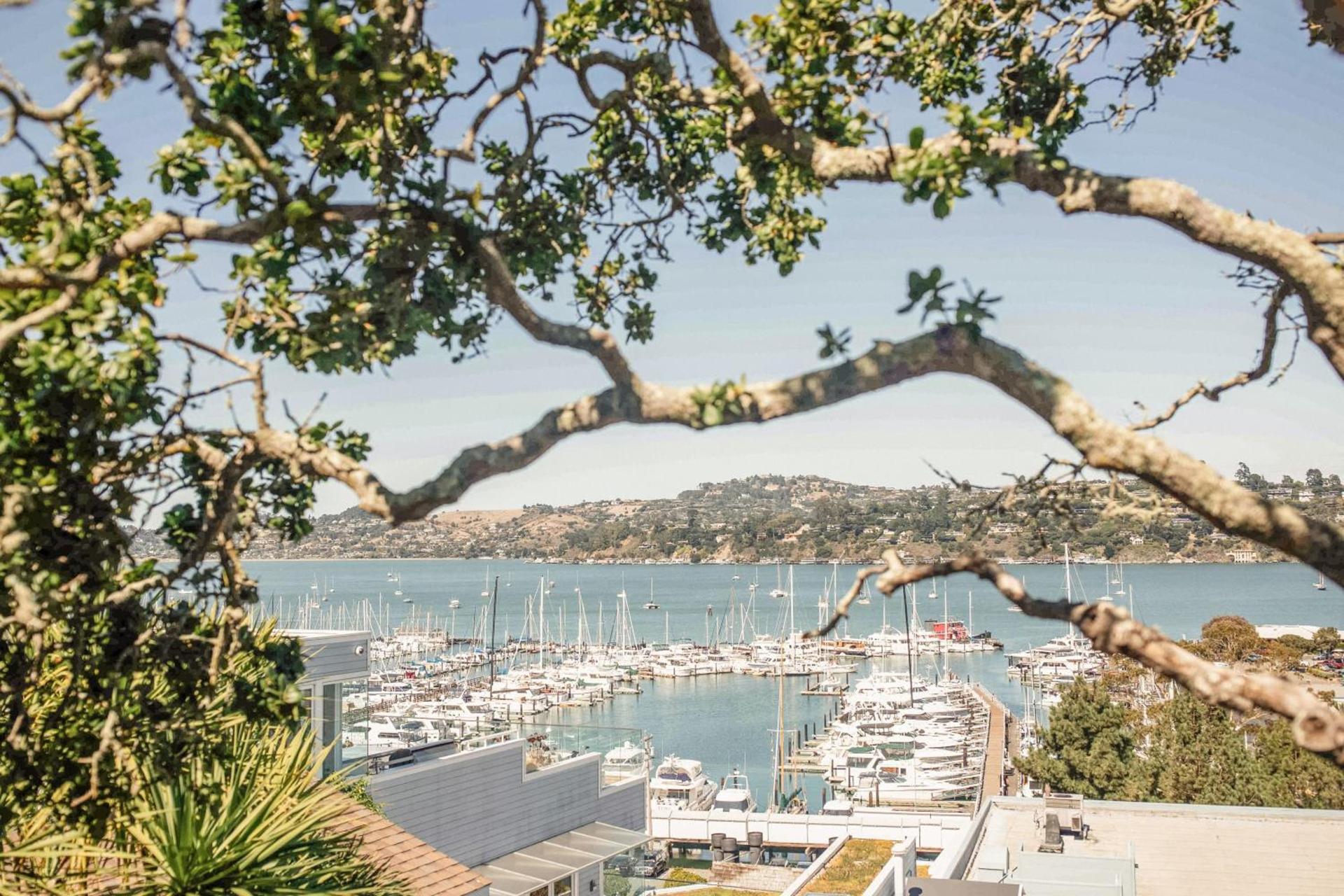 Casa Madrona Hotel and Spa photo 8