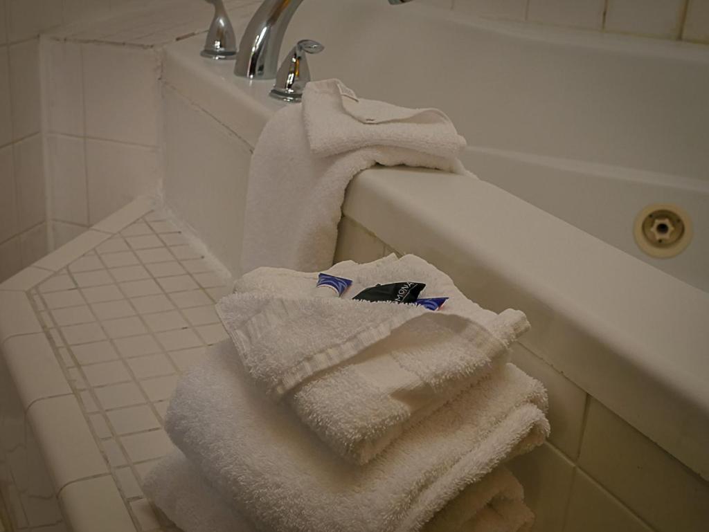 Americas Best Value Inn - Chico photo 13