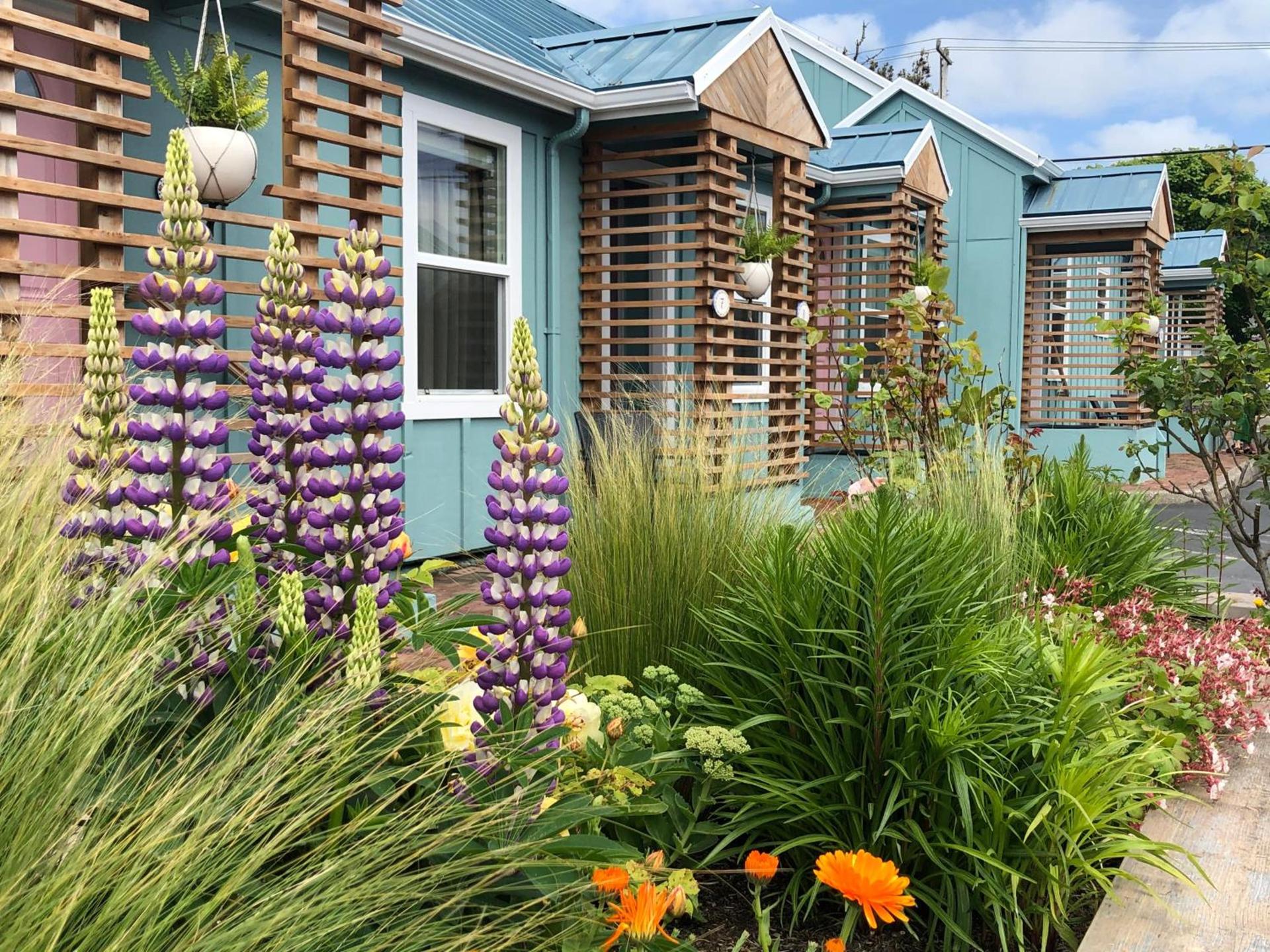 Inn at Haystack Rock photo 13
