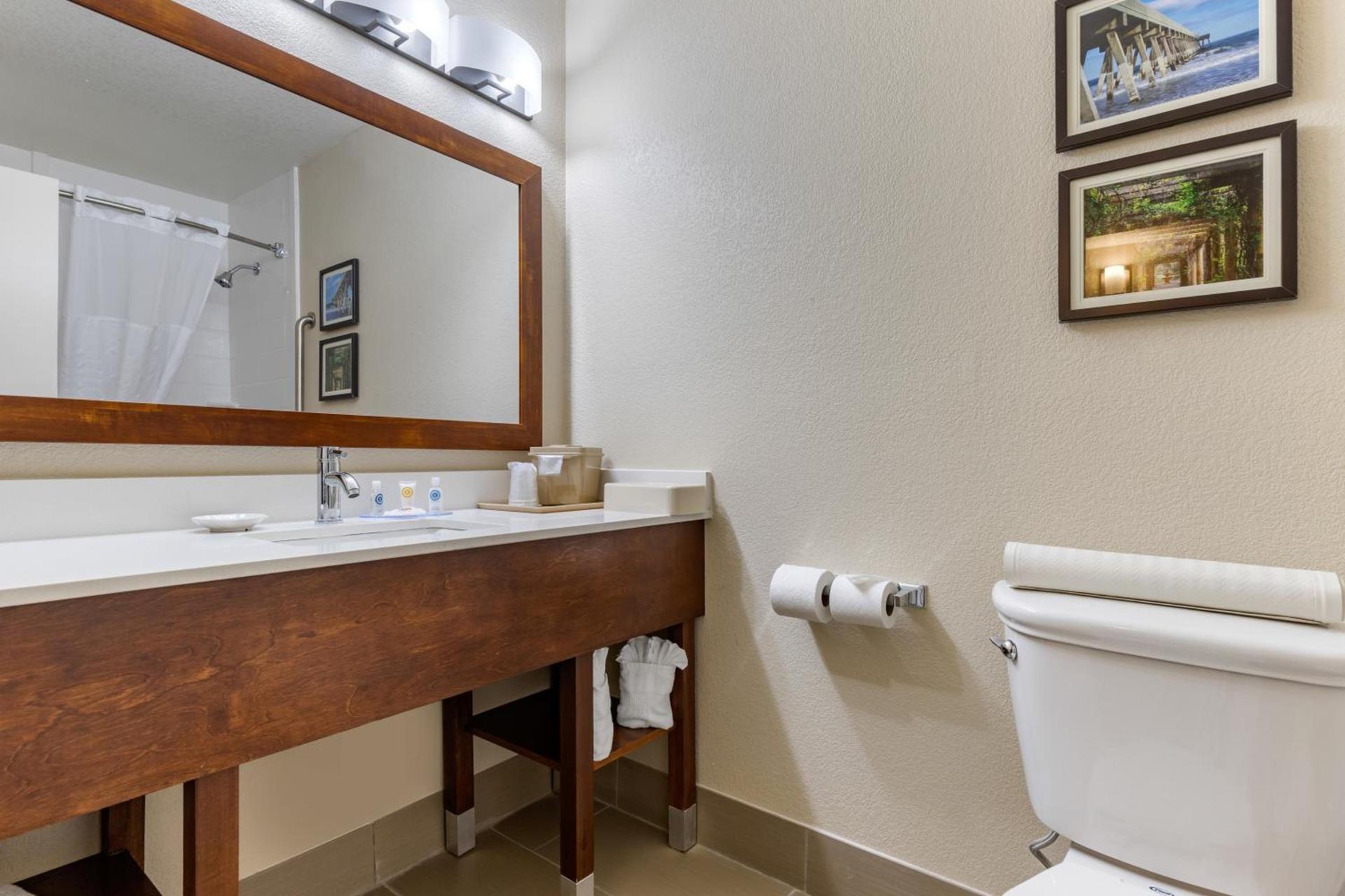 Comfort Inn University photo 44