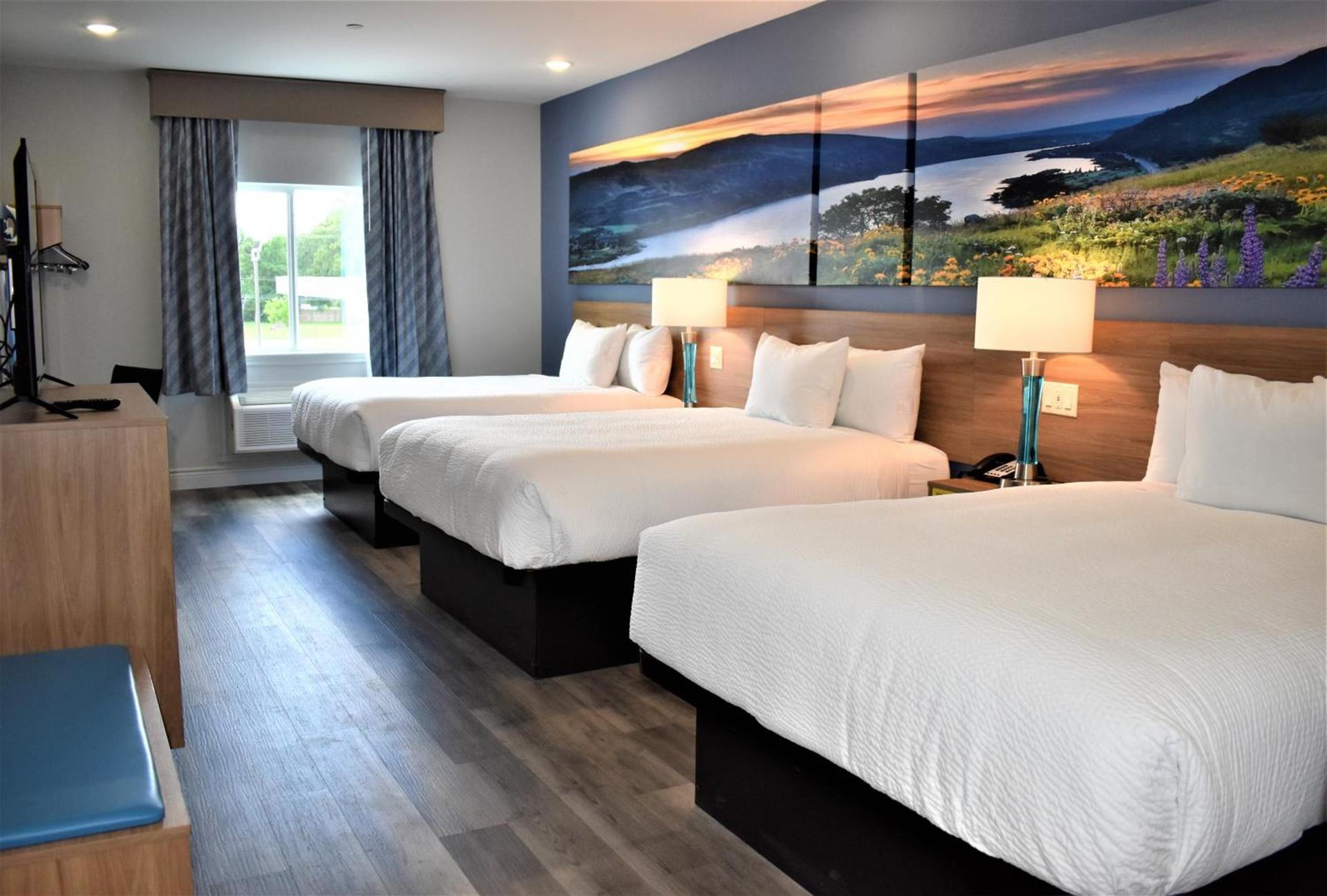 Days Inn & Suites by Wyndham Downtown/University of Houston photo 68