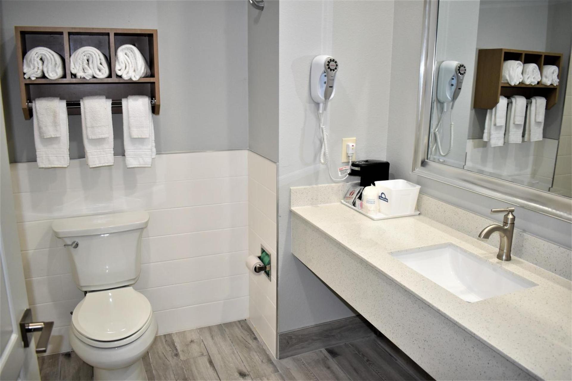 Days Inn & Suites by Wyndham Downtown/University of Houston photo 87