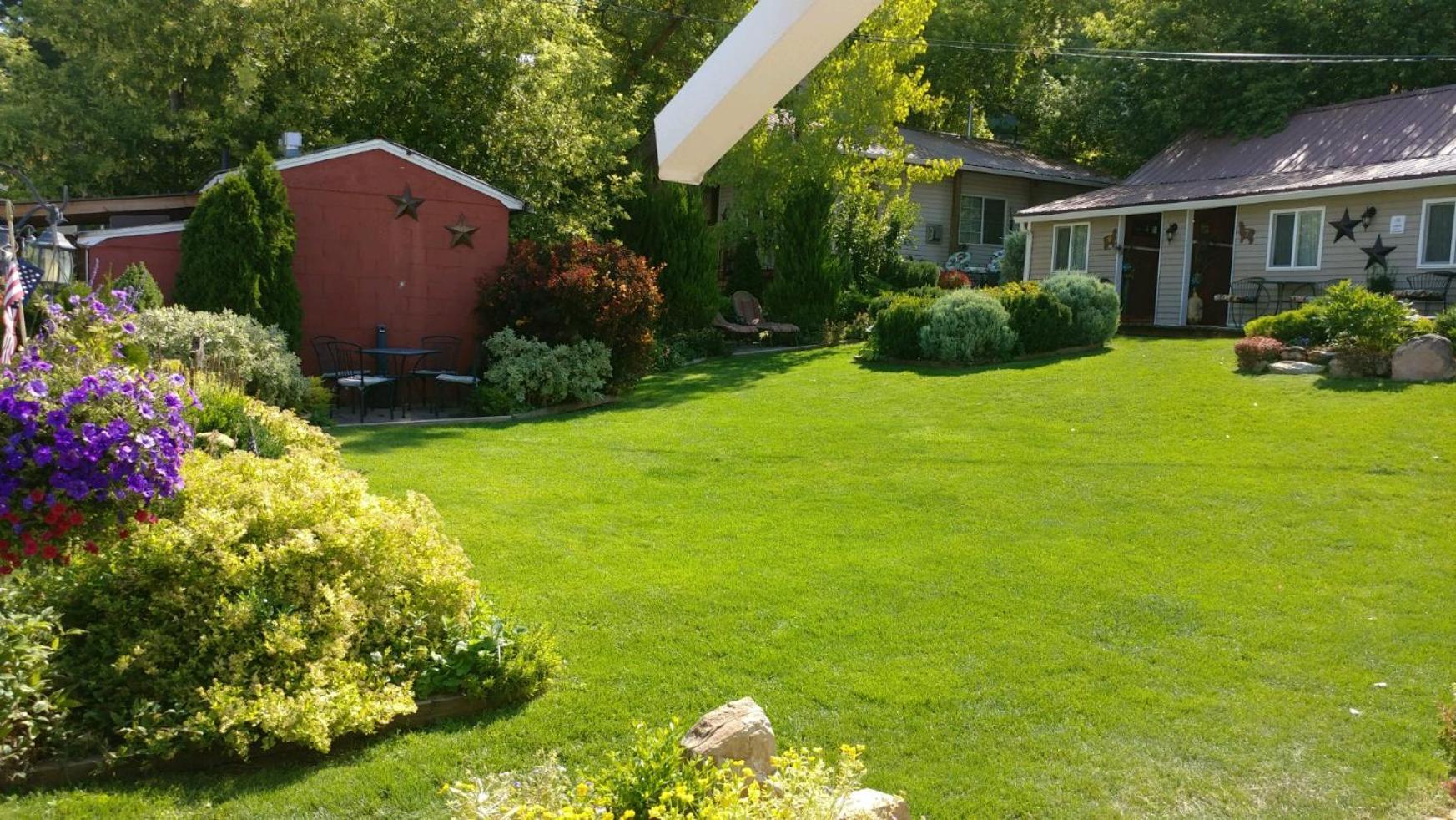 Alpaca Inn, The photo 36