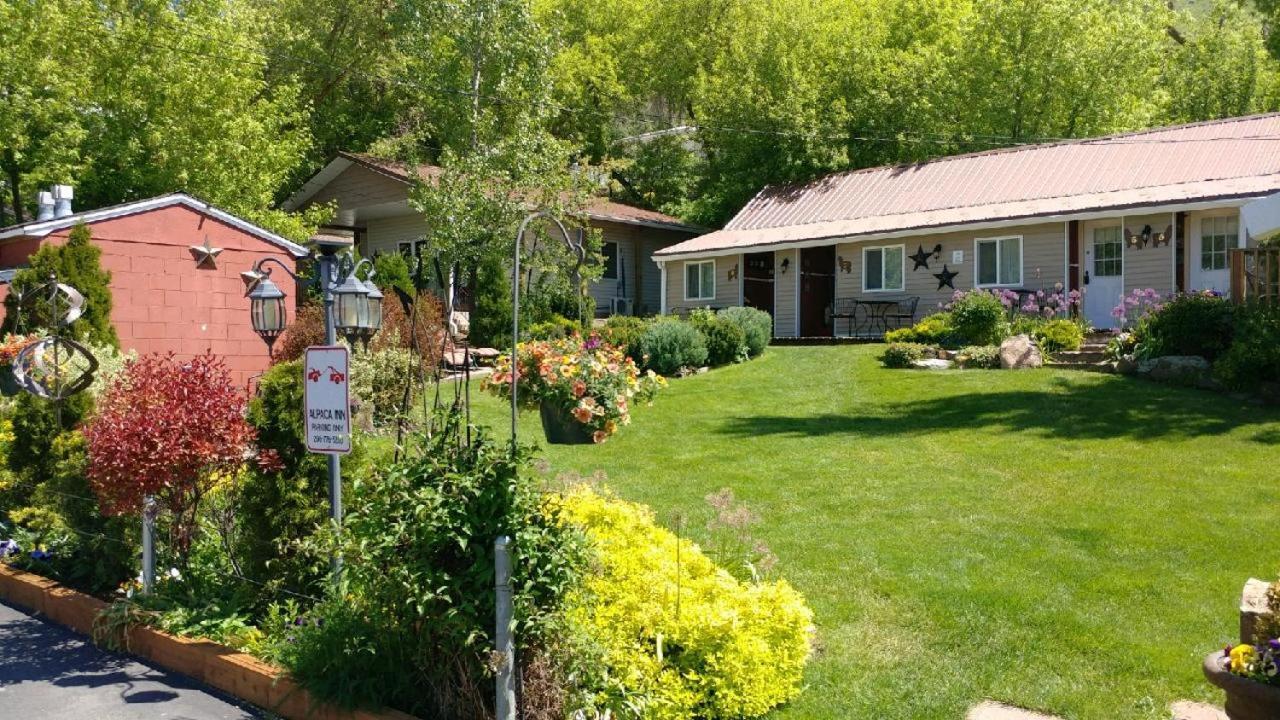 Alpaca Inn, The photo 37