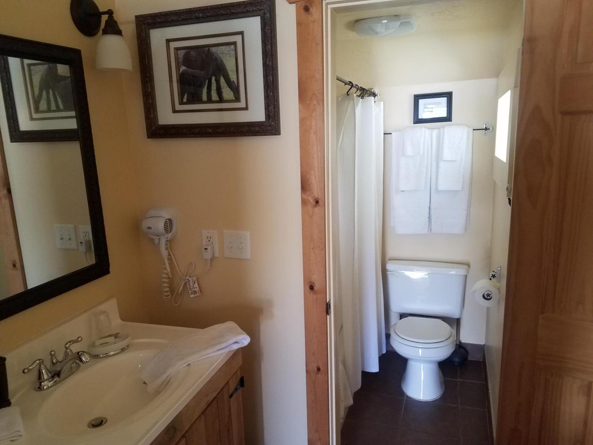 Alpaca Inn, The photo 18