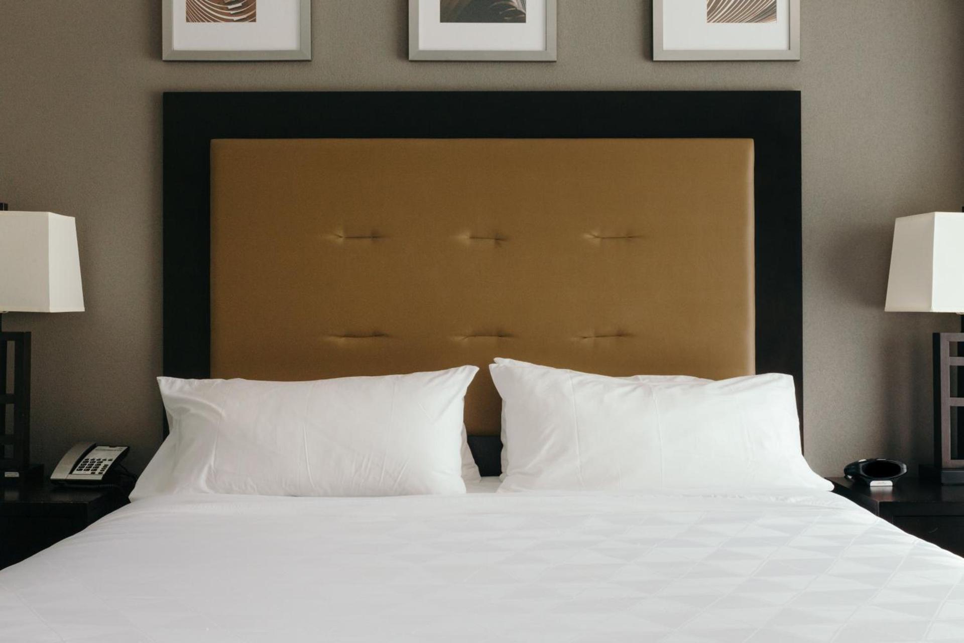 Holiday Inn and Suites East Peoria by IHG photo 76