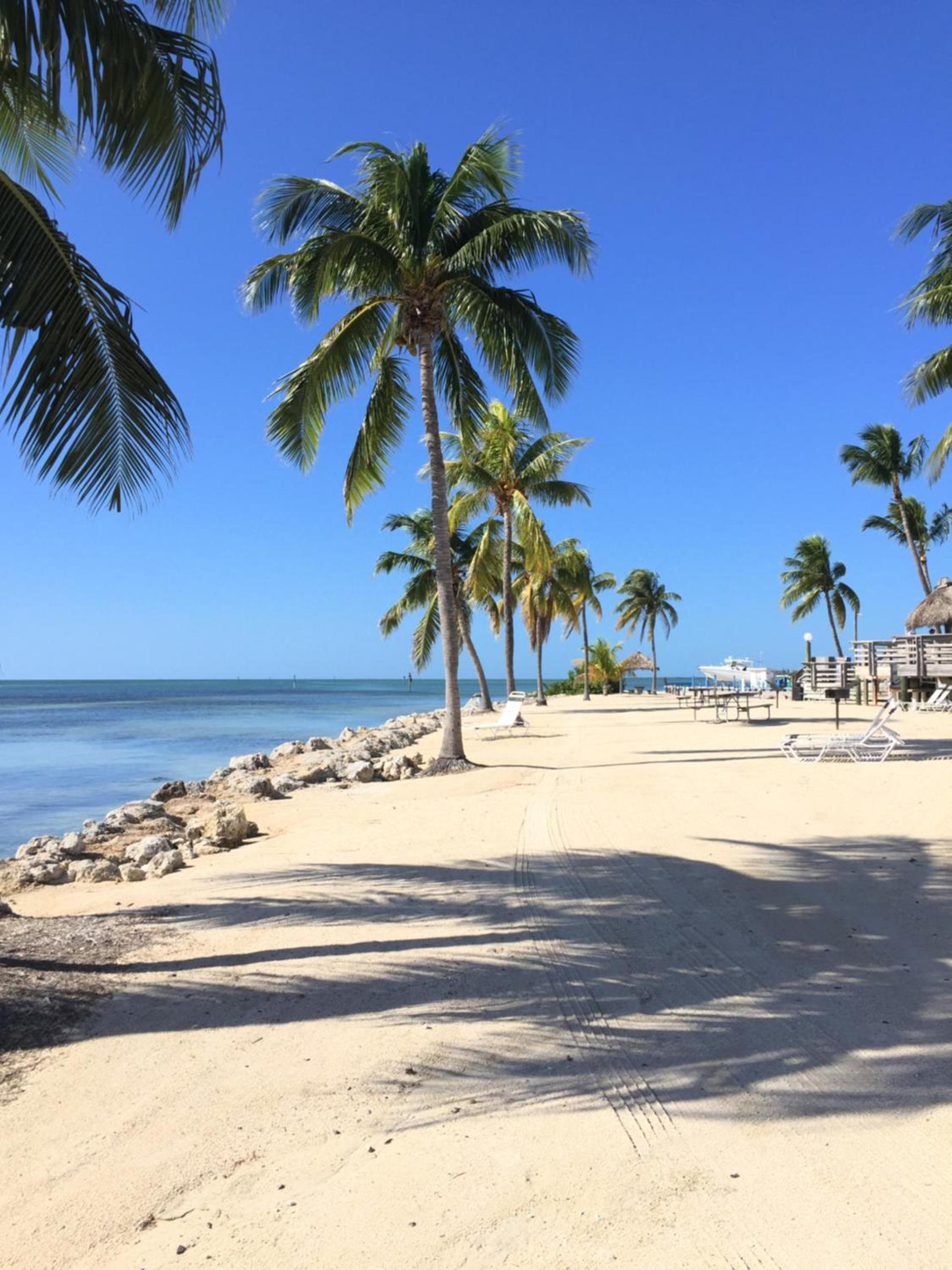 Caloosa Cove Resort by CoolVacay photo 7