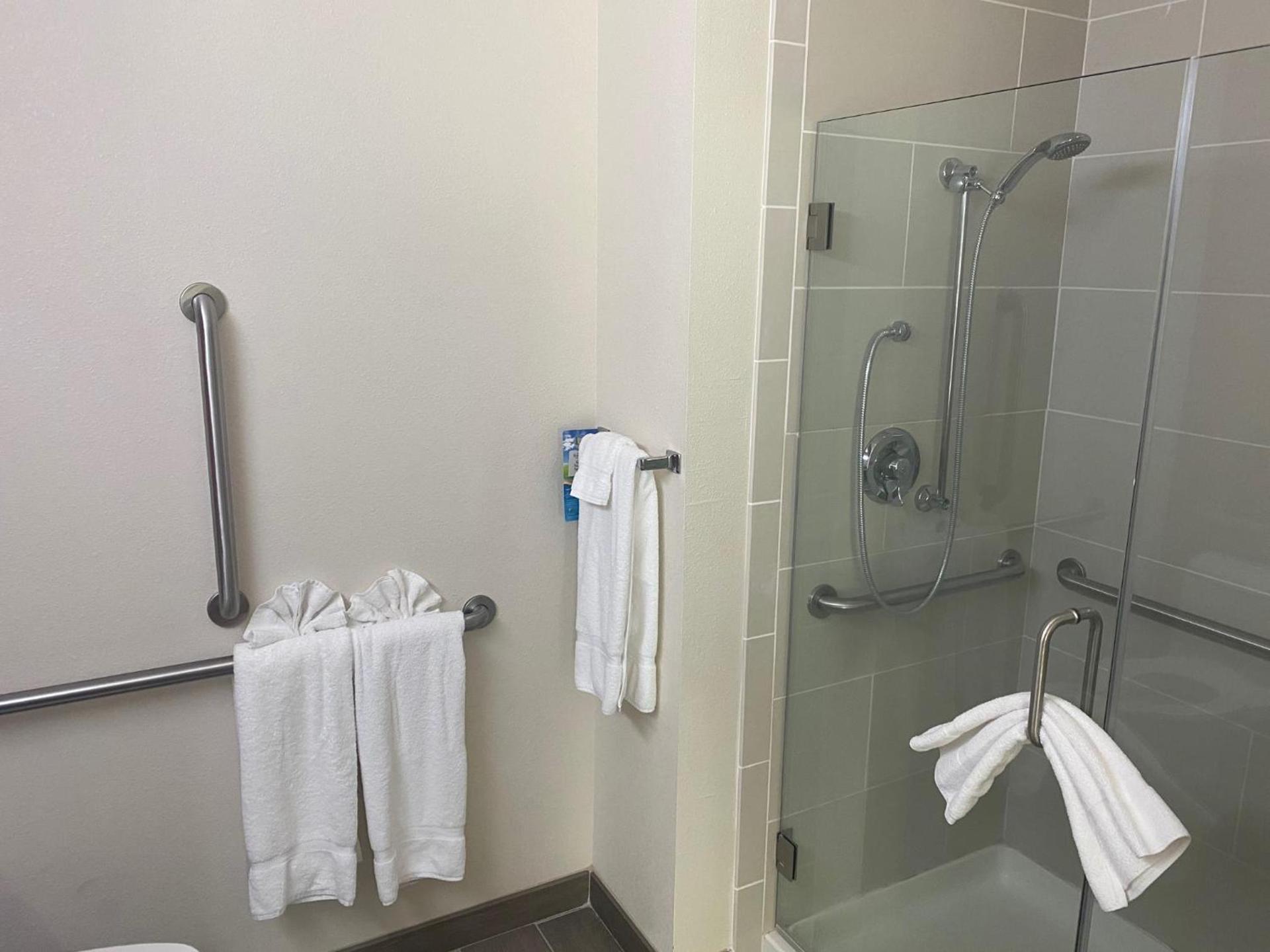 Baymont by Wyndham Hobbs photo 5