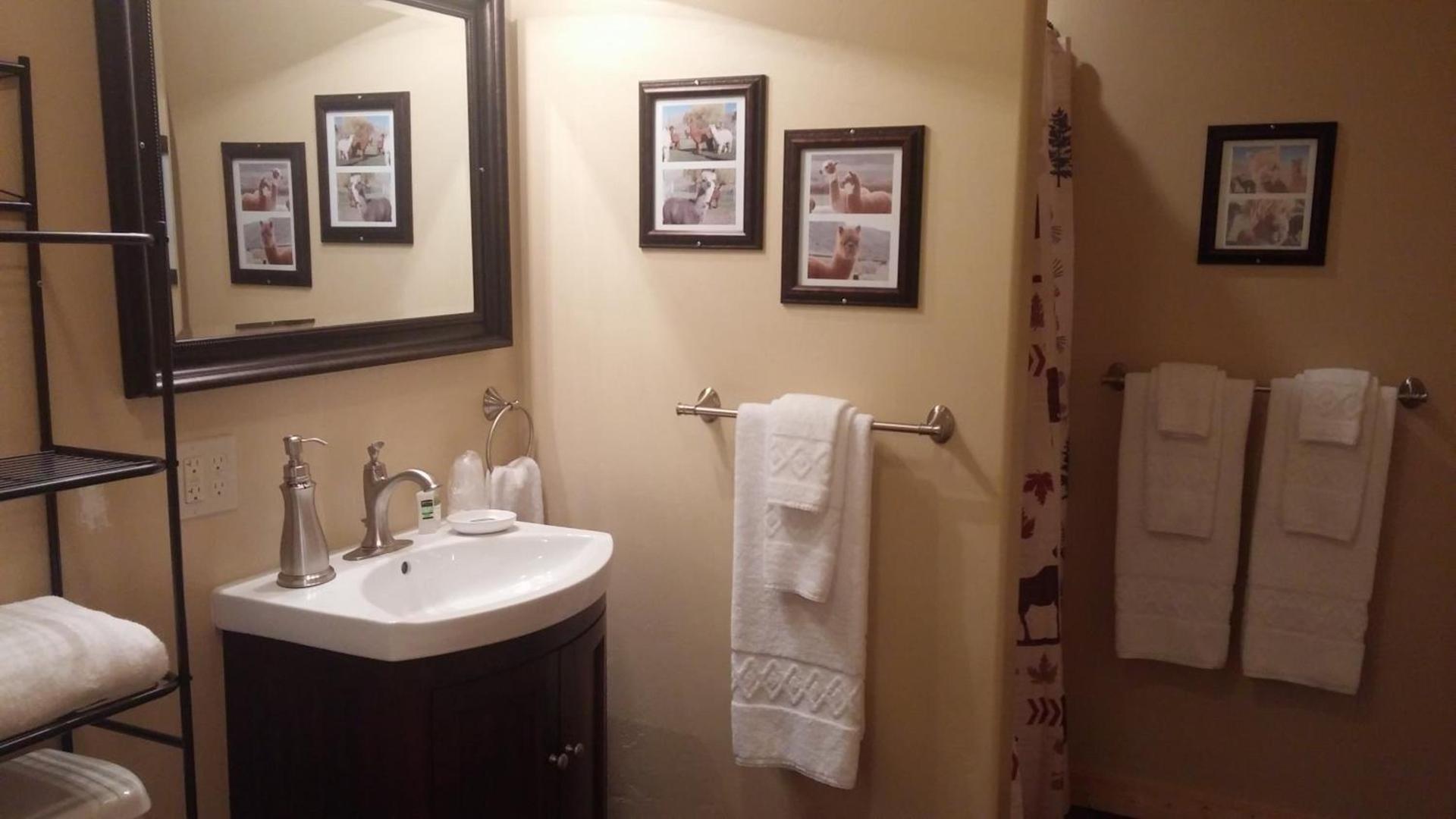 Alpaca Inn, The photo 10