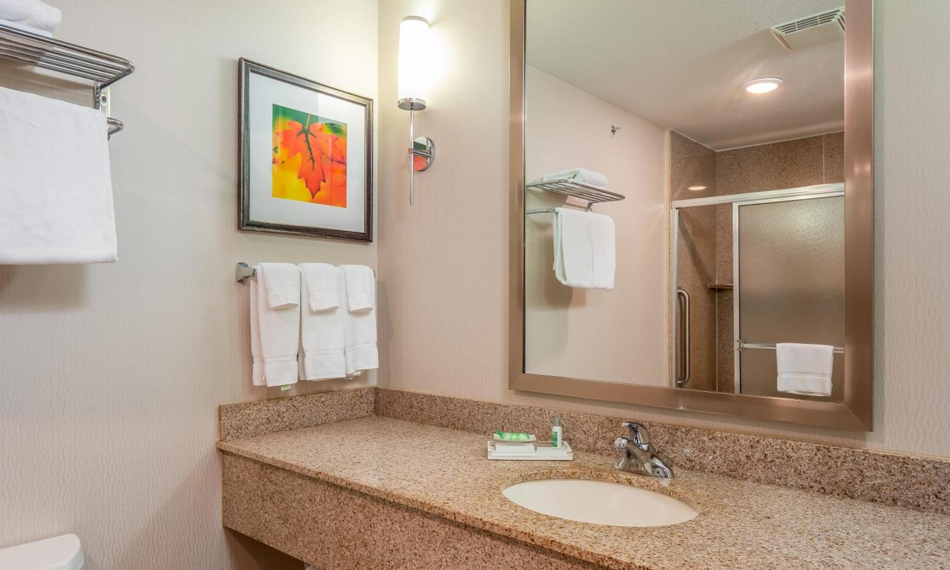 Holiday Inn Stevens Point - Convention Center by IHG photo 32