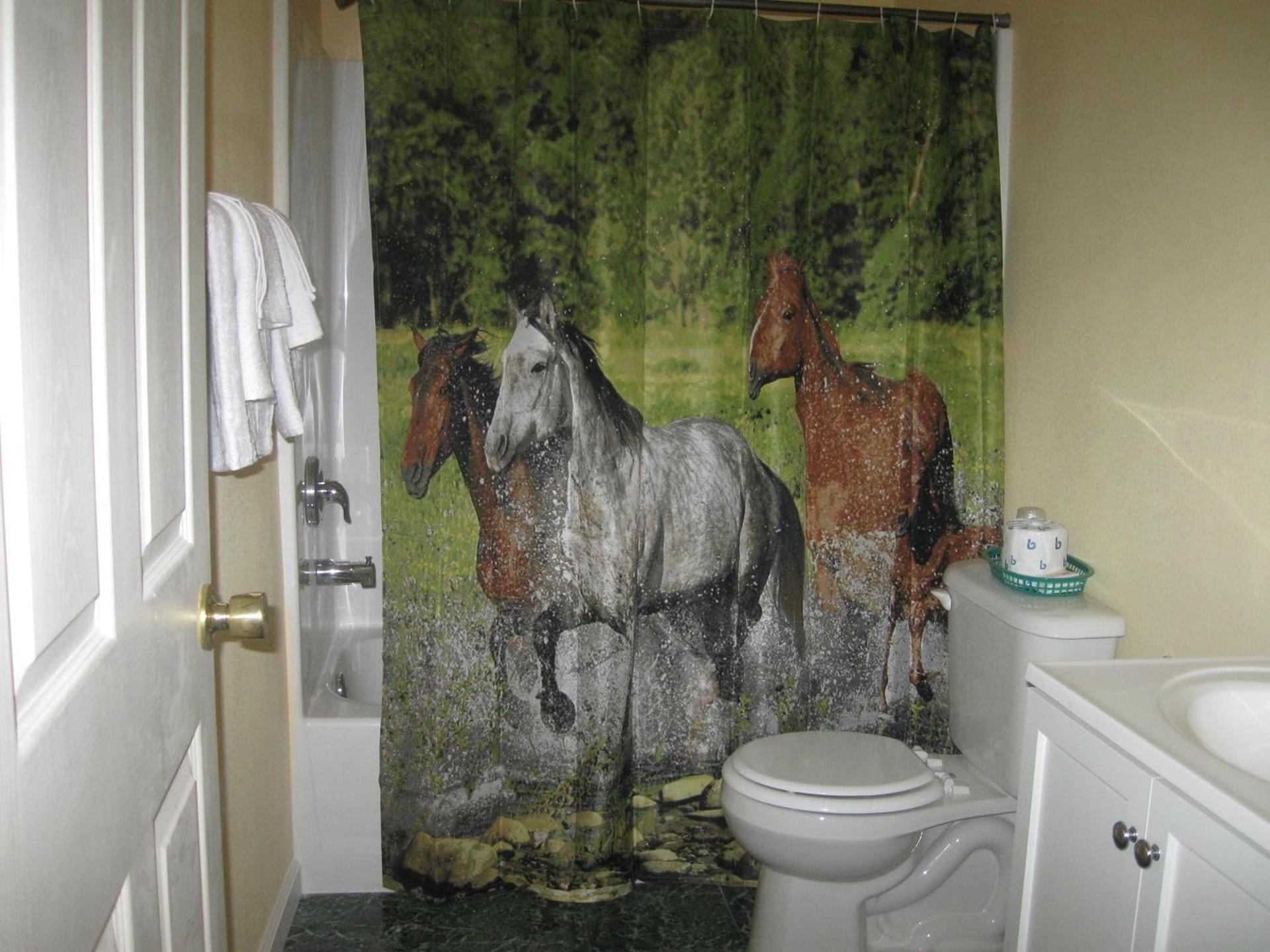 Western Motel photo 8