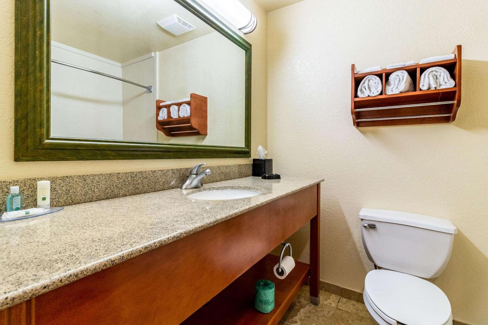 Quality Inn Texas City I-45 photo 15