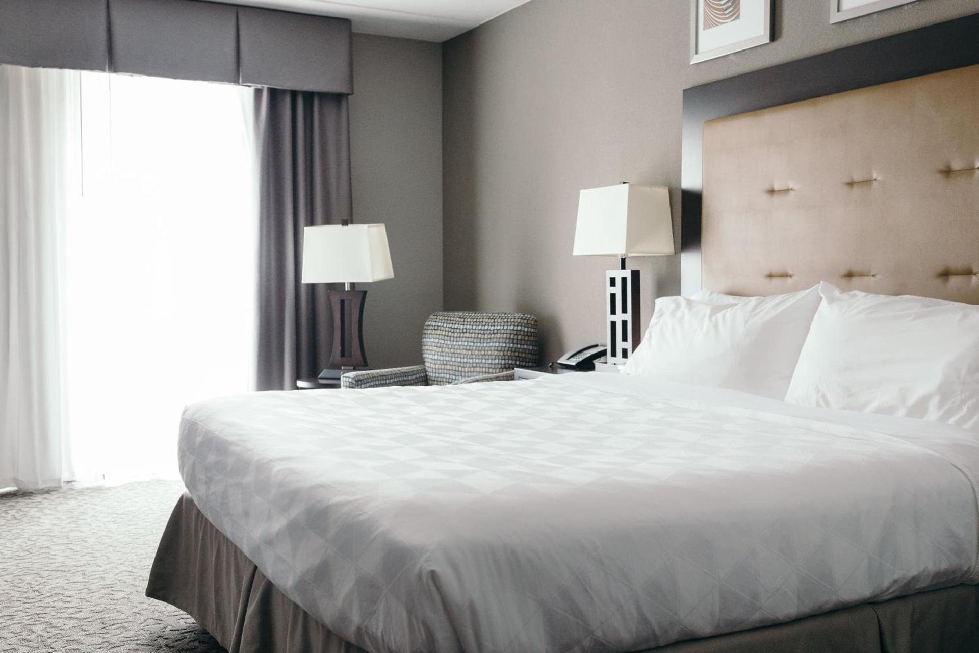 Holiday Inn and Suites East Peoria by IHG photo 67