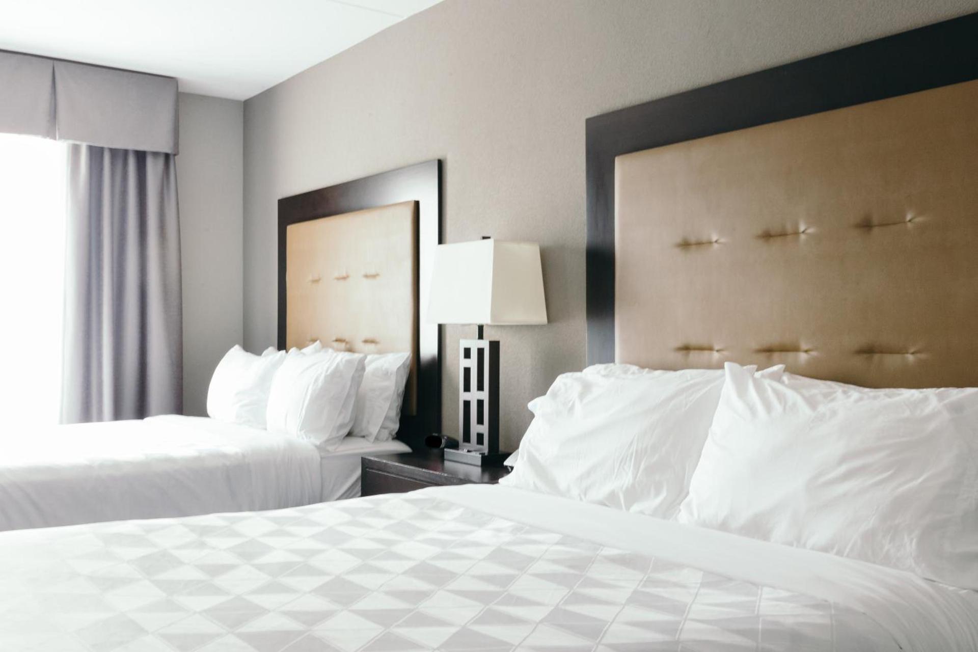Holiday Inn and Suites East Peoria by IHG photo 74